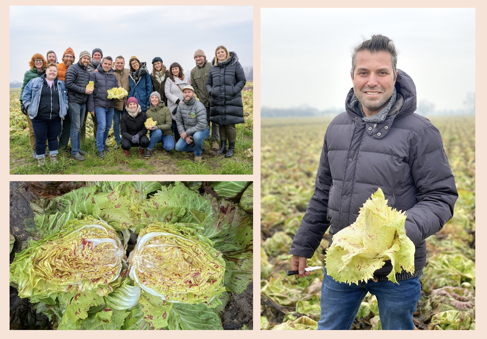 Screenshot 2026-03-12 at 8.46.39 PM.png