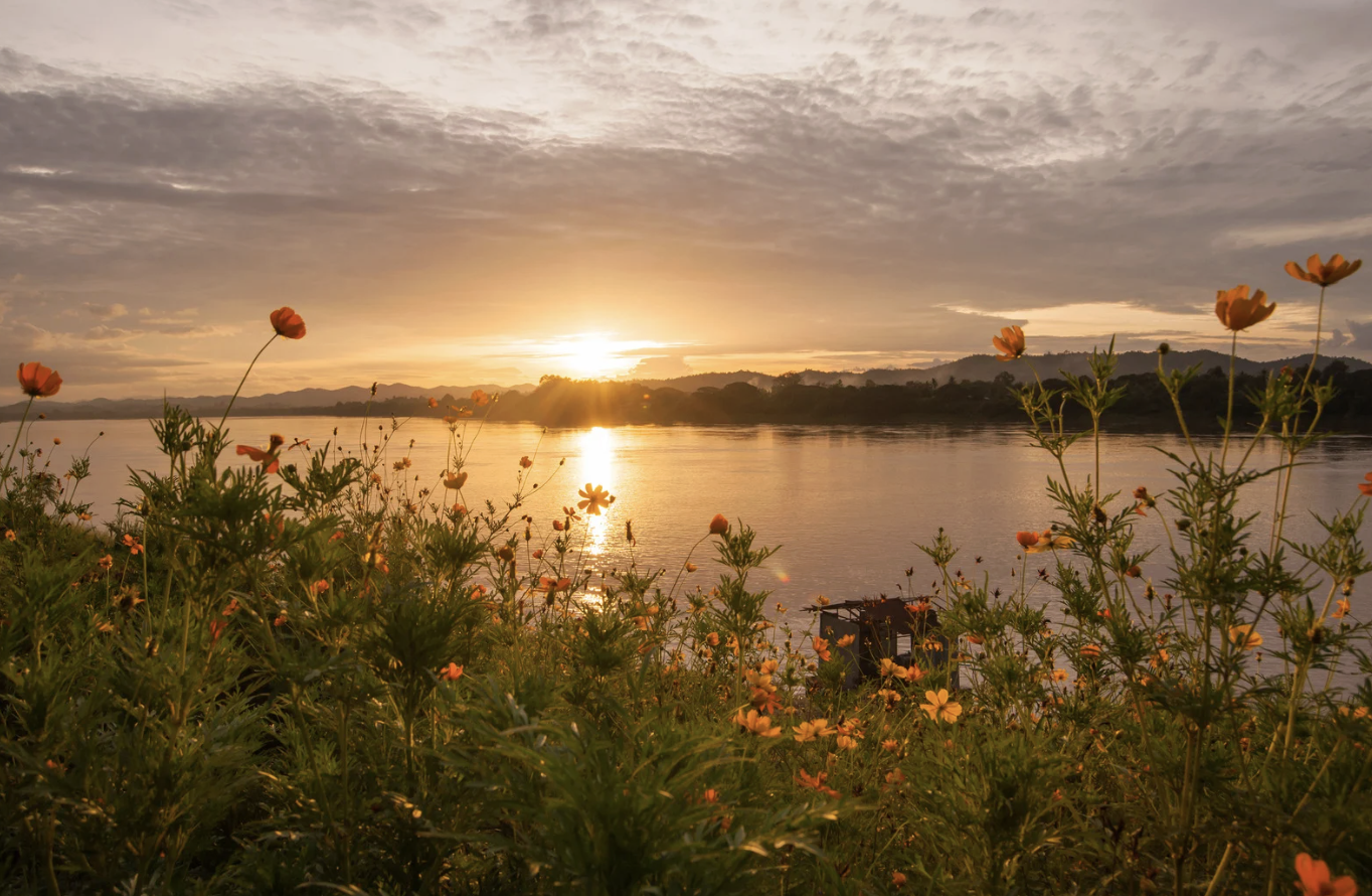 Sunset over a river with orange flowers in the foreground and mountains in the background.