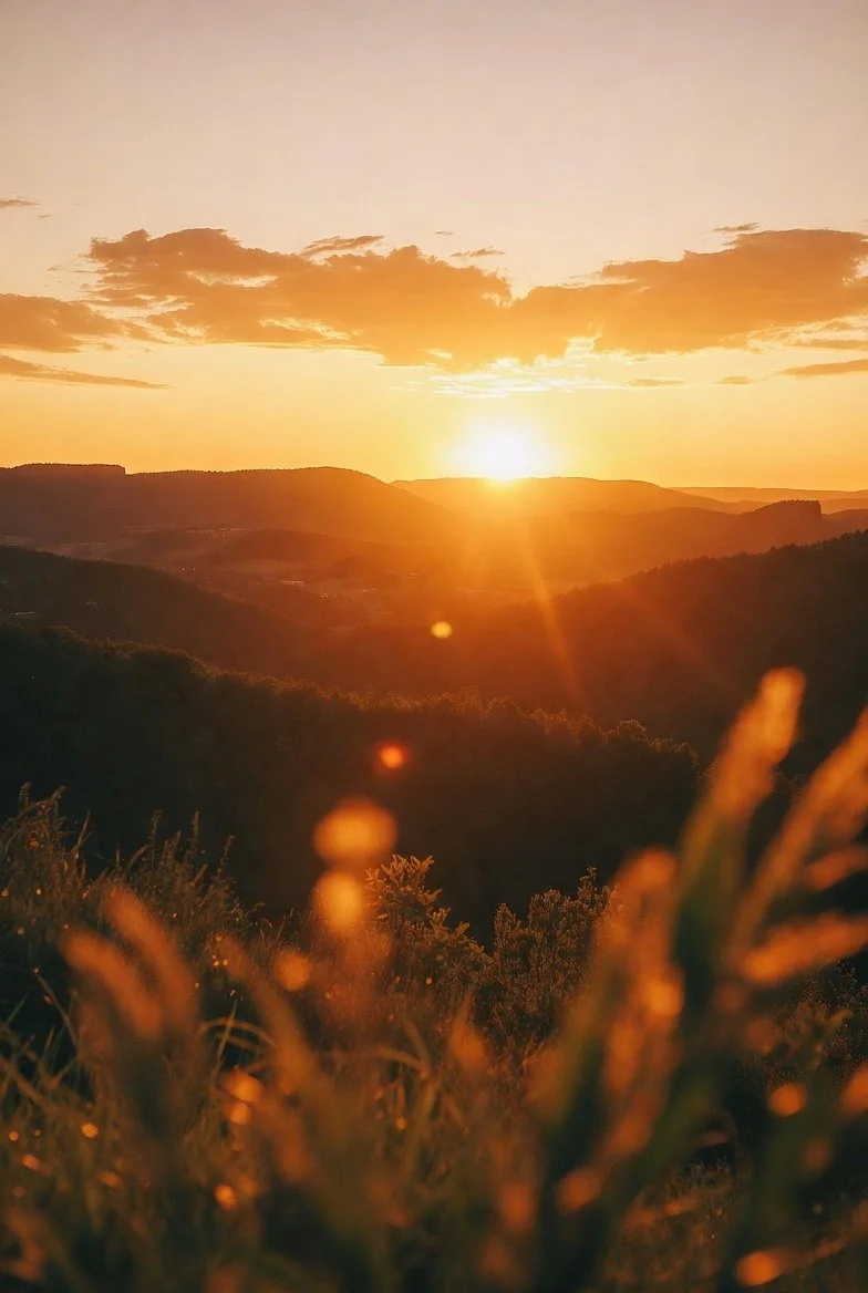 A sunset over rolling hills with clouds in the sky, viewed through tall grass in the foreground.