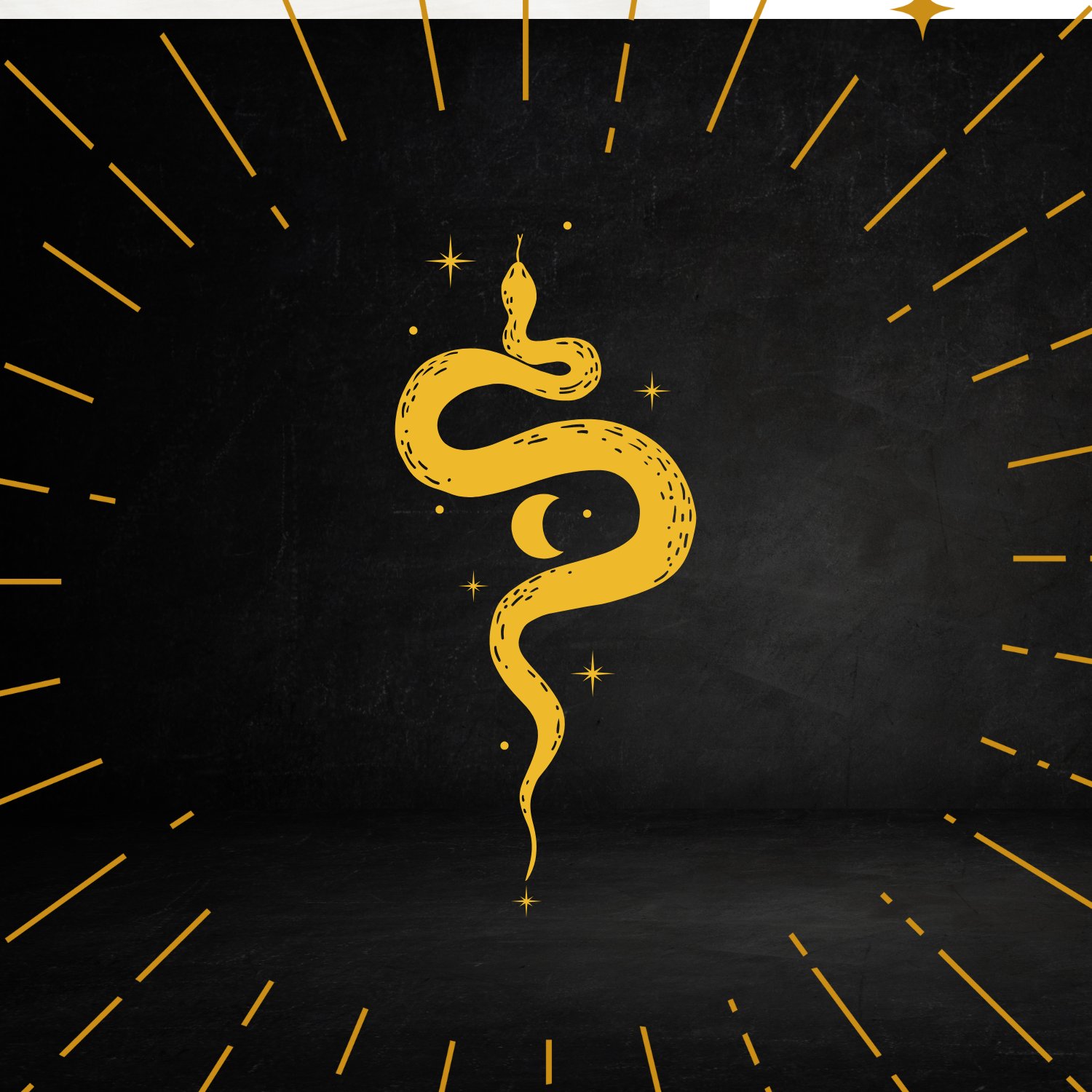 The ancient symbol of the serpent representing renewal, healing, transformation, and life force- one of the original symbols of the goddess used as a primary symbol in the artisan jewelry at Of Myth and Matter.