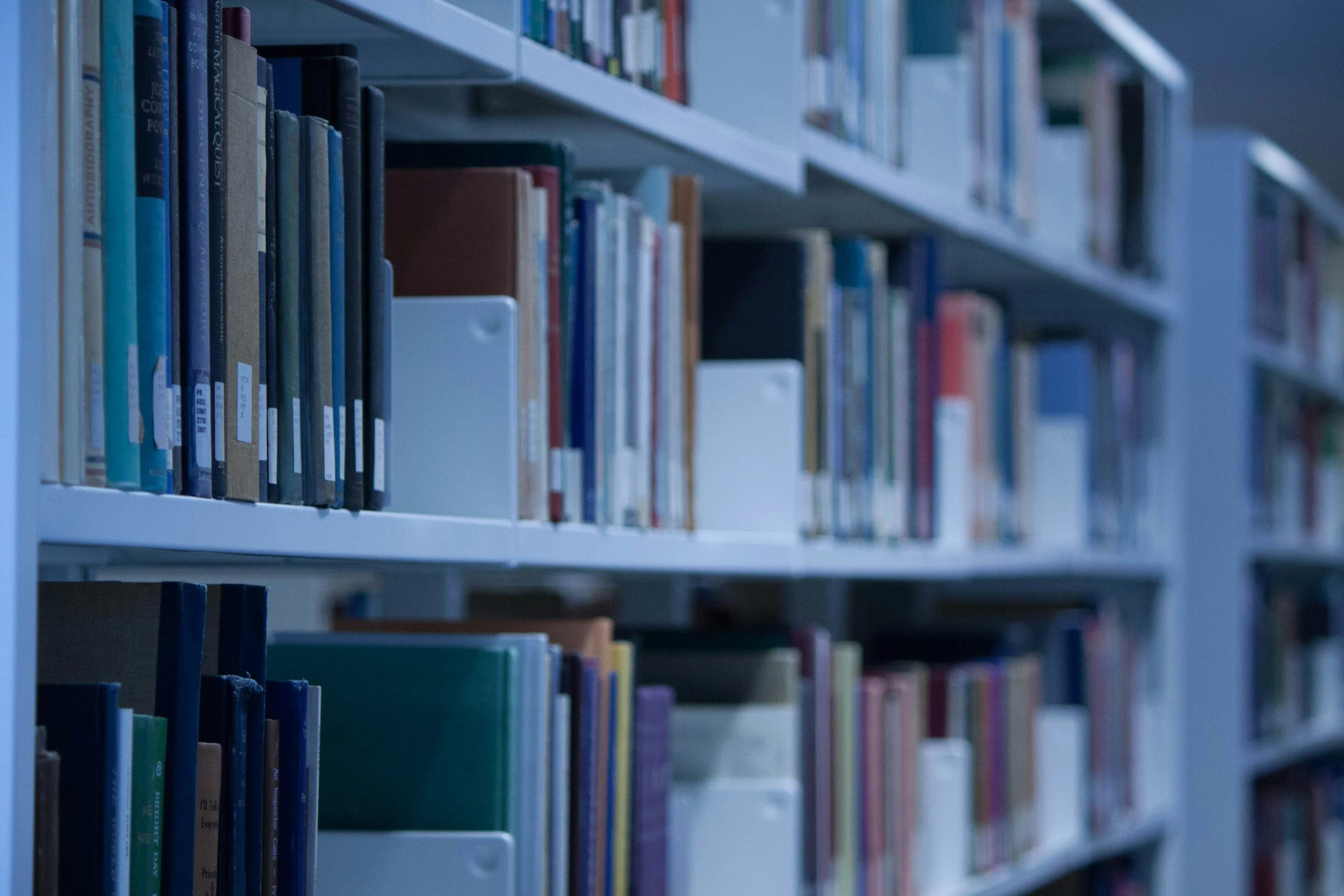 Rows of books on white library shelves.