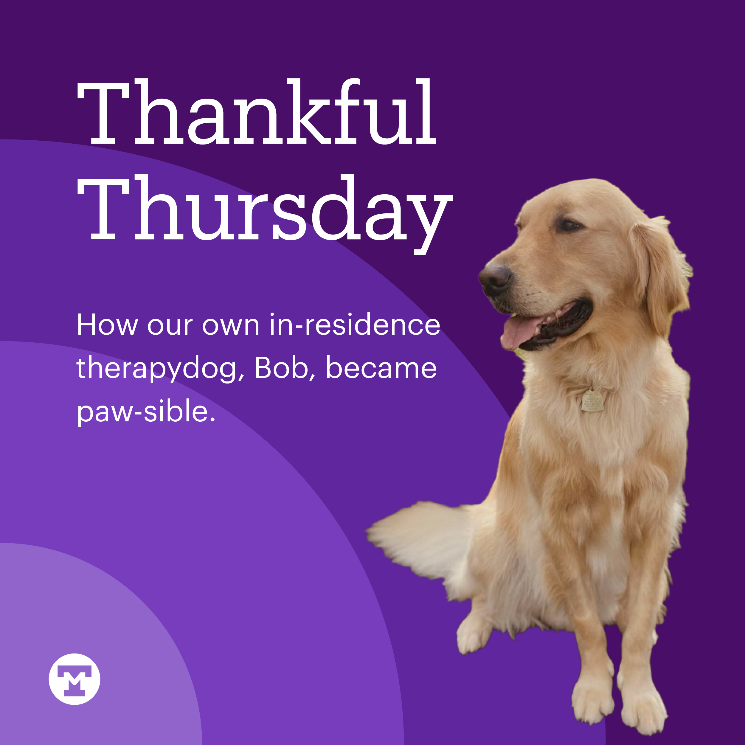 Bob Thankful Thursday Instagram.png