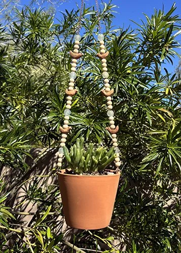 Terracotta Hanging Planter with Birds