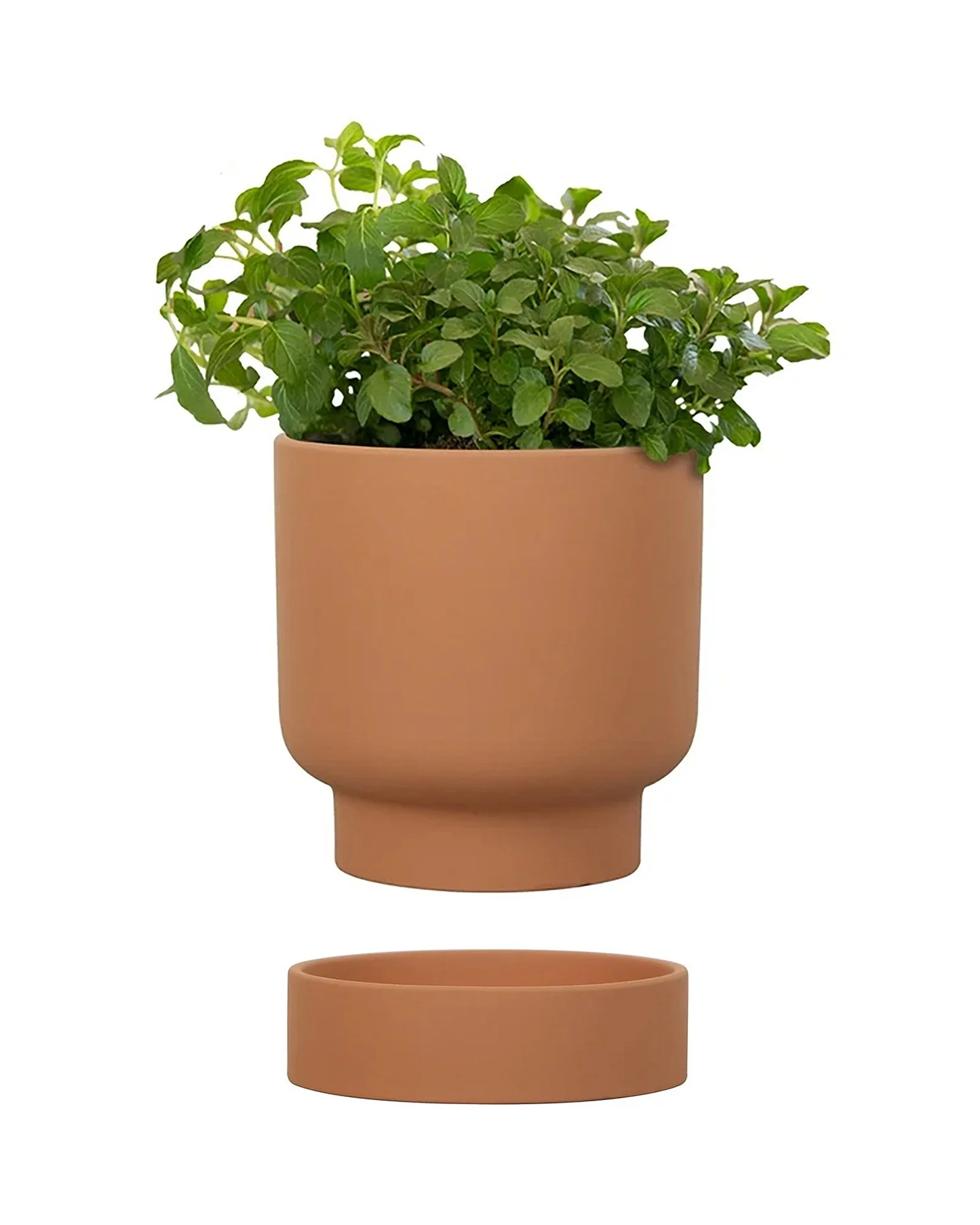 Oslo 4-inch Terracotta Pot w/Saucer