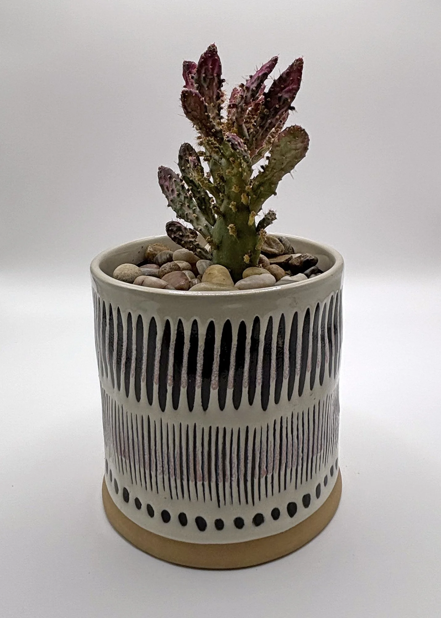 Ink Toby 4-inch Ceramic Flower Pot (Pink)