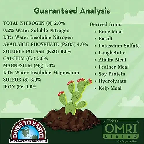 Down to Earth 03.jpg