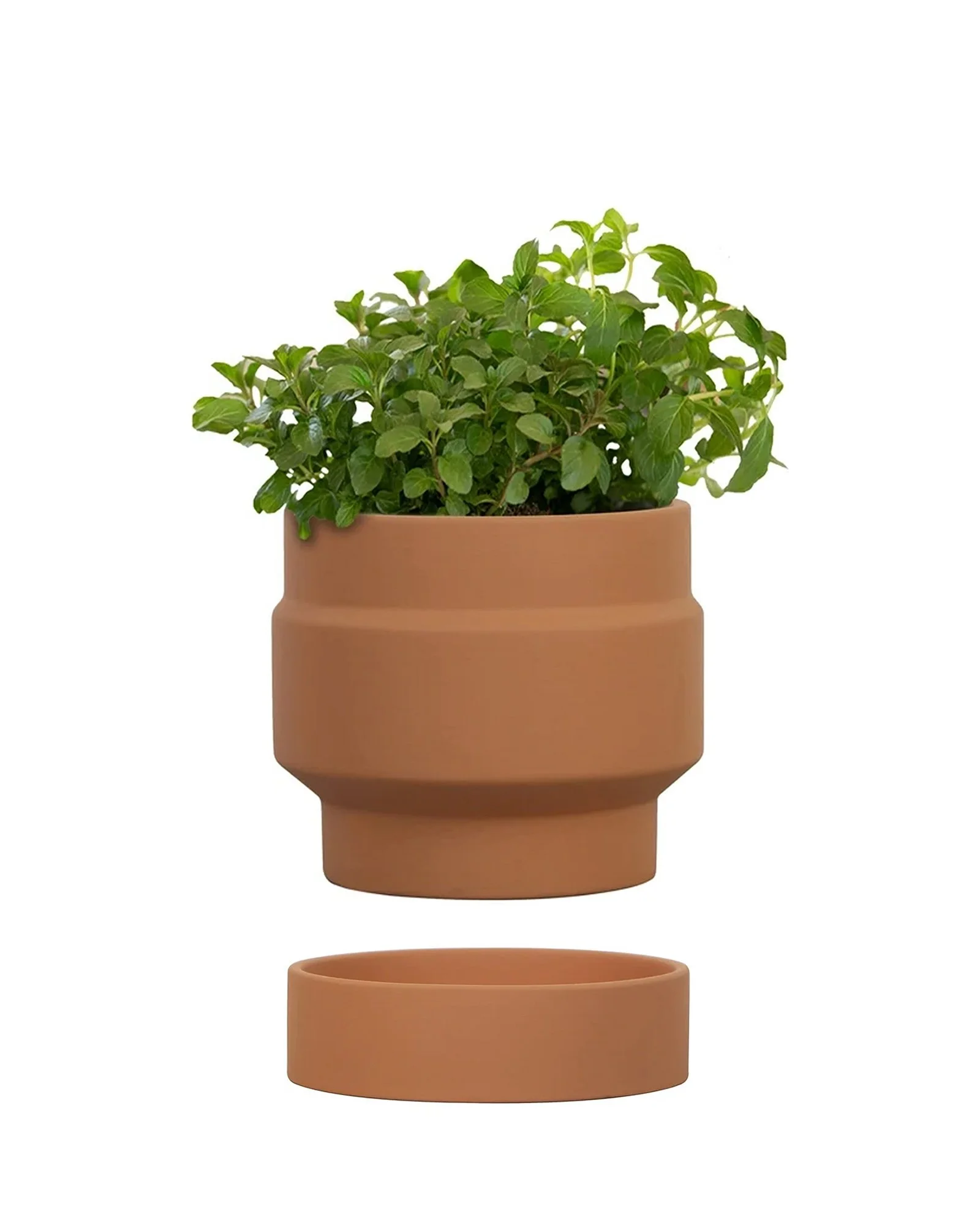Copenhagen 4-inch Terracotta Pot w/Saucer