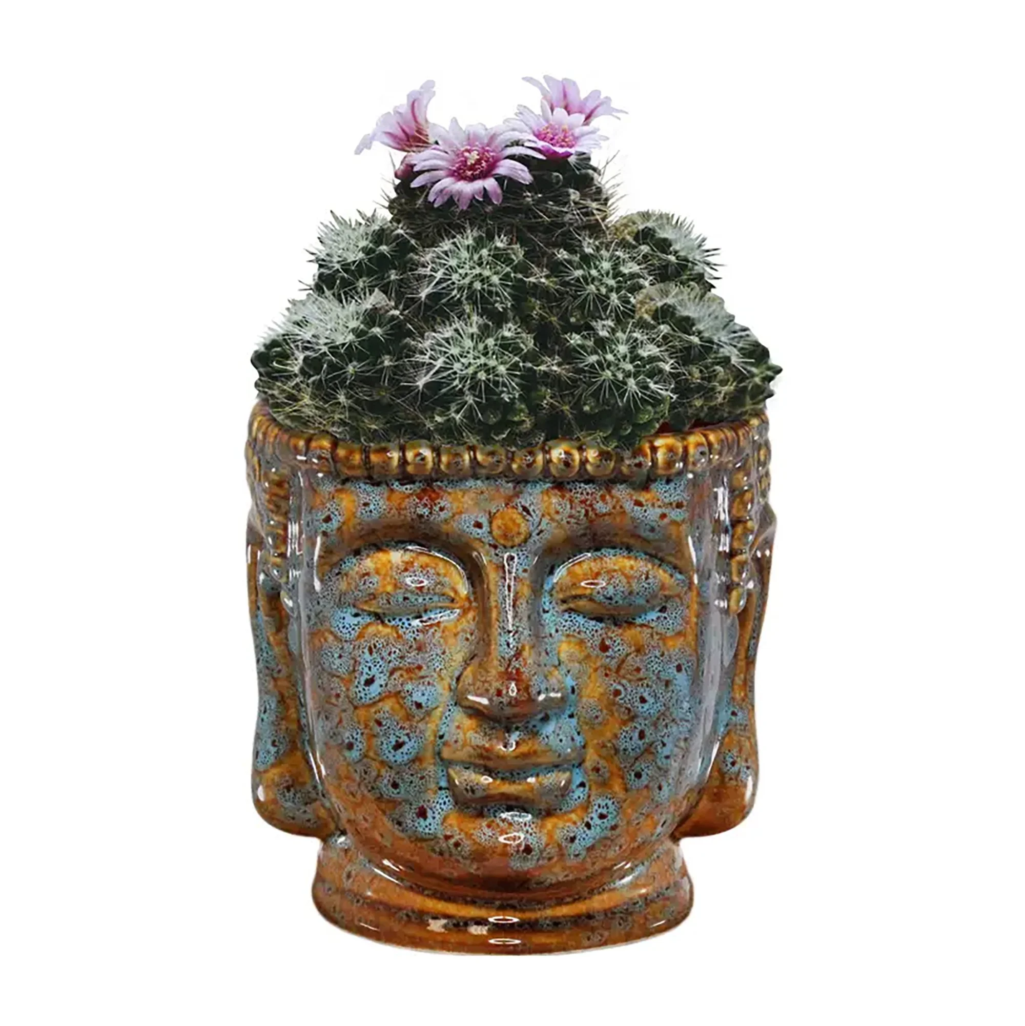Buddha Head Planter