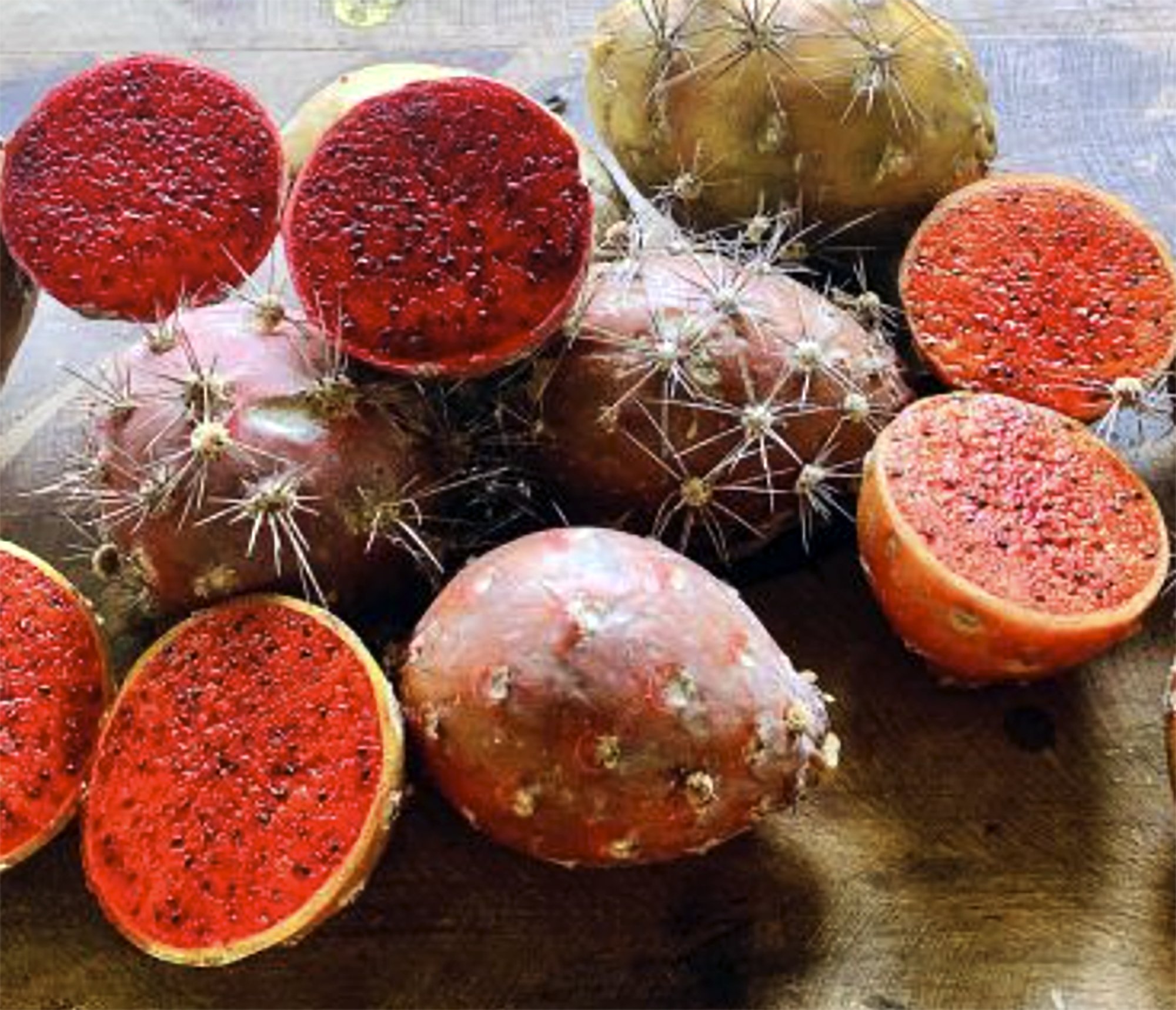 stenocereus pruinosis pitayas.jpg