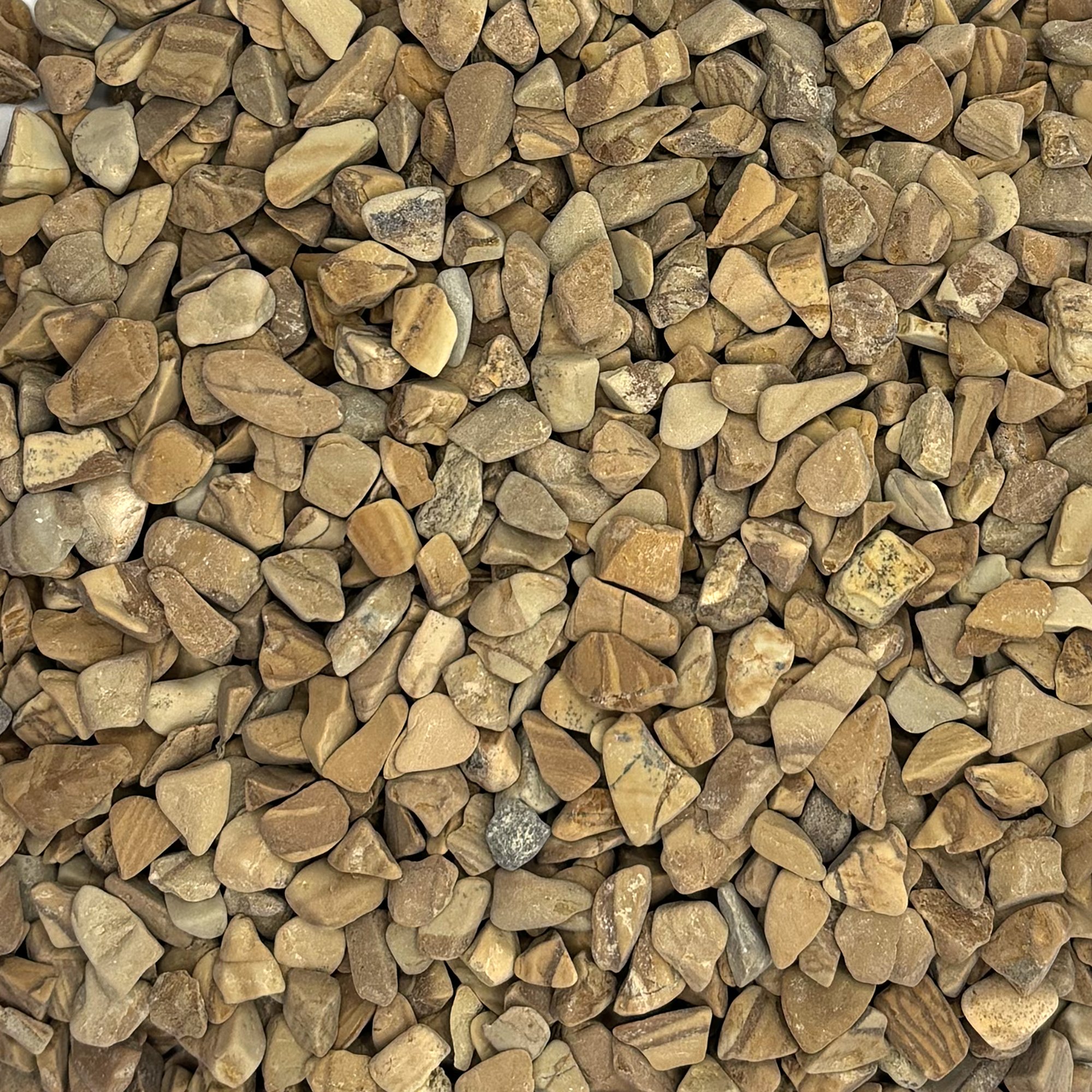 bean pebbles mocha.jpg