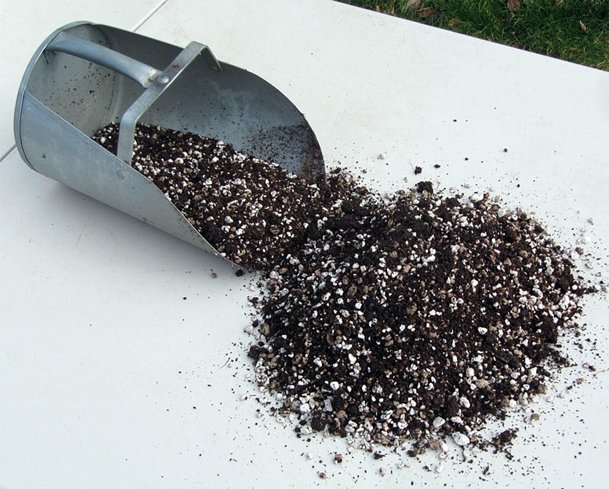 Cactus & Succulent Soil