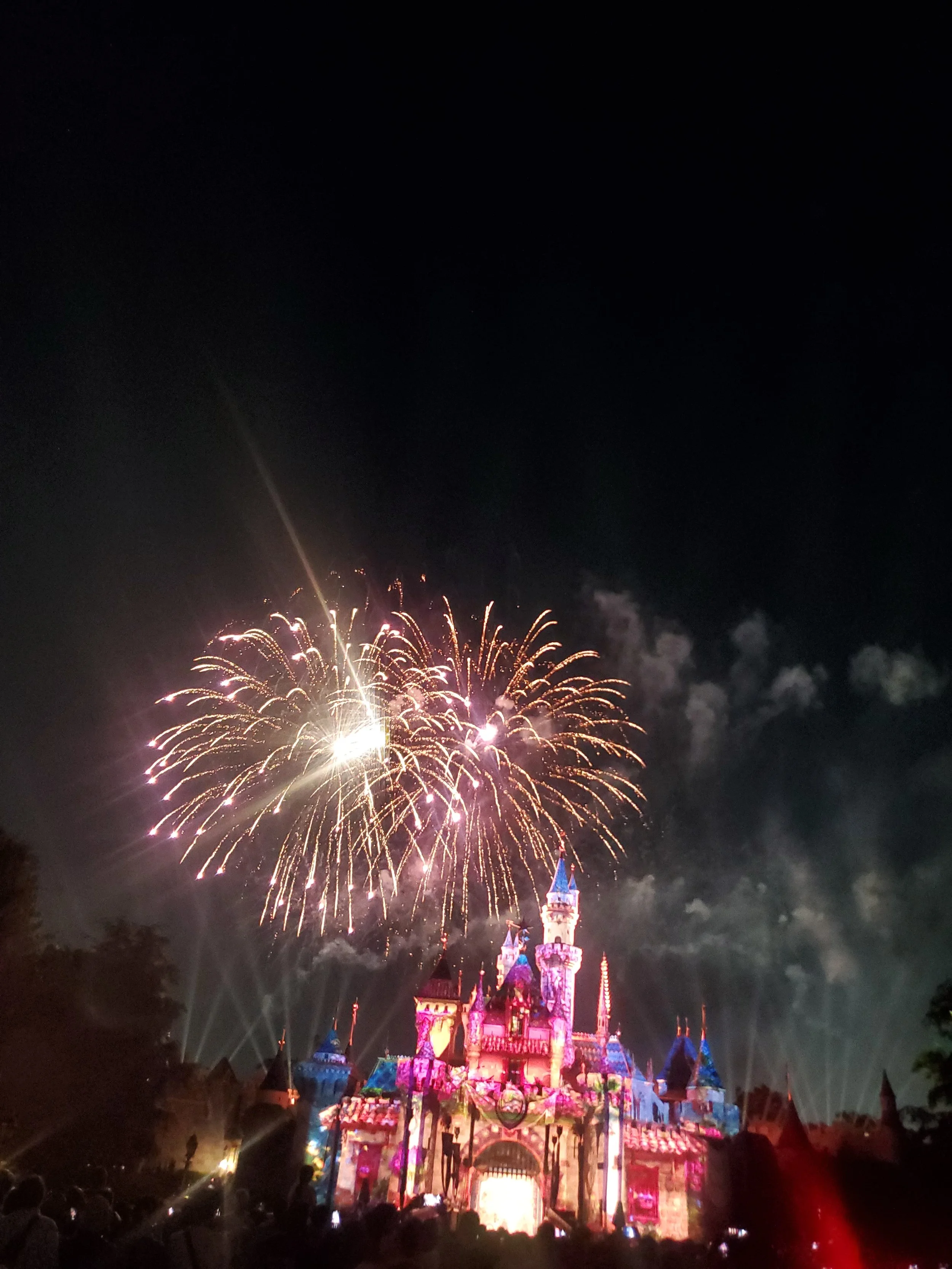 Nighttime fireworks above a brightly lit Disney castle at a theme park.