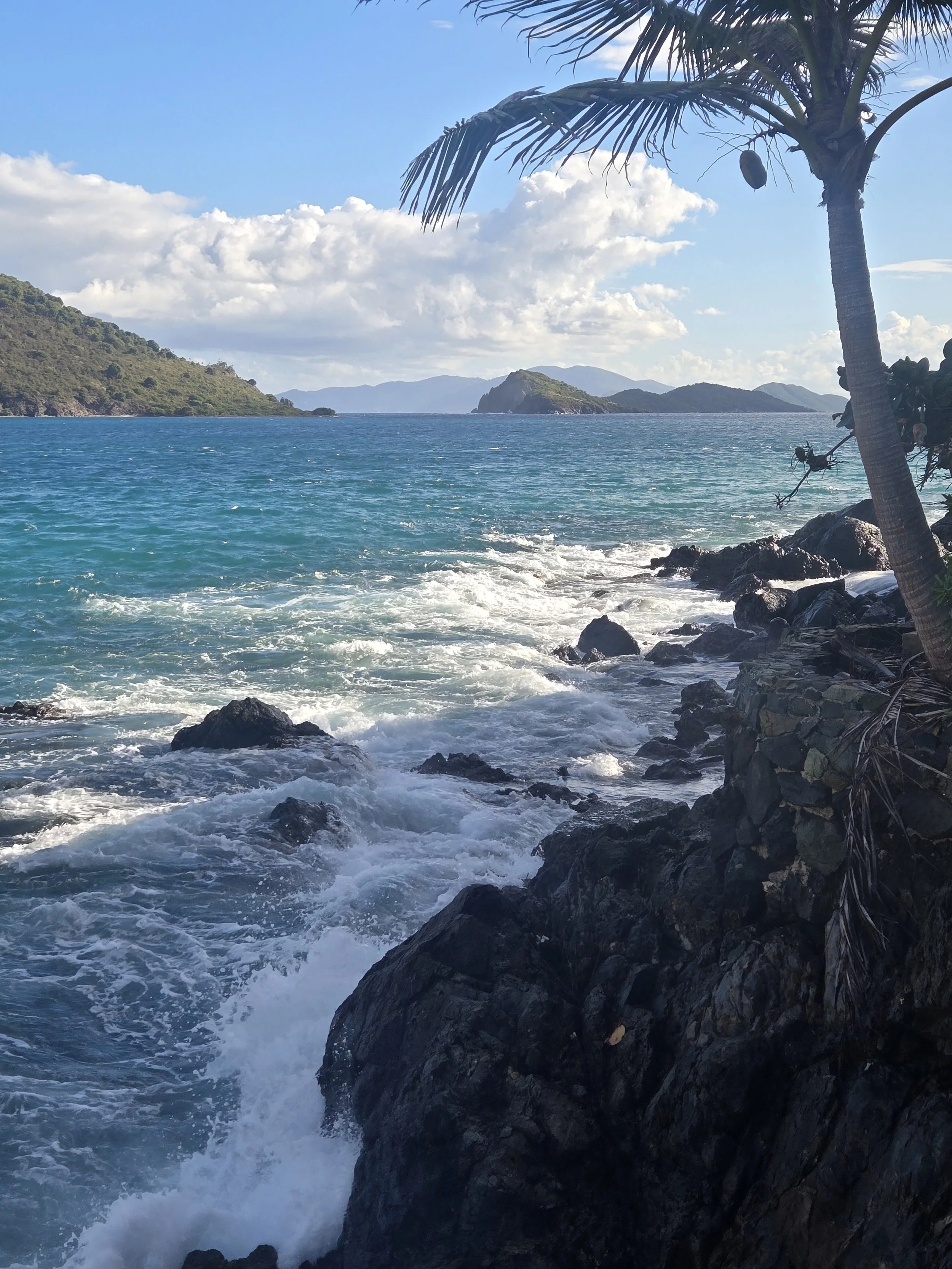 Tropical beach with turquoise water, rocky shoreline, palm tree, and distant green islands under a partly cloudy sky.