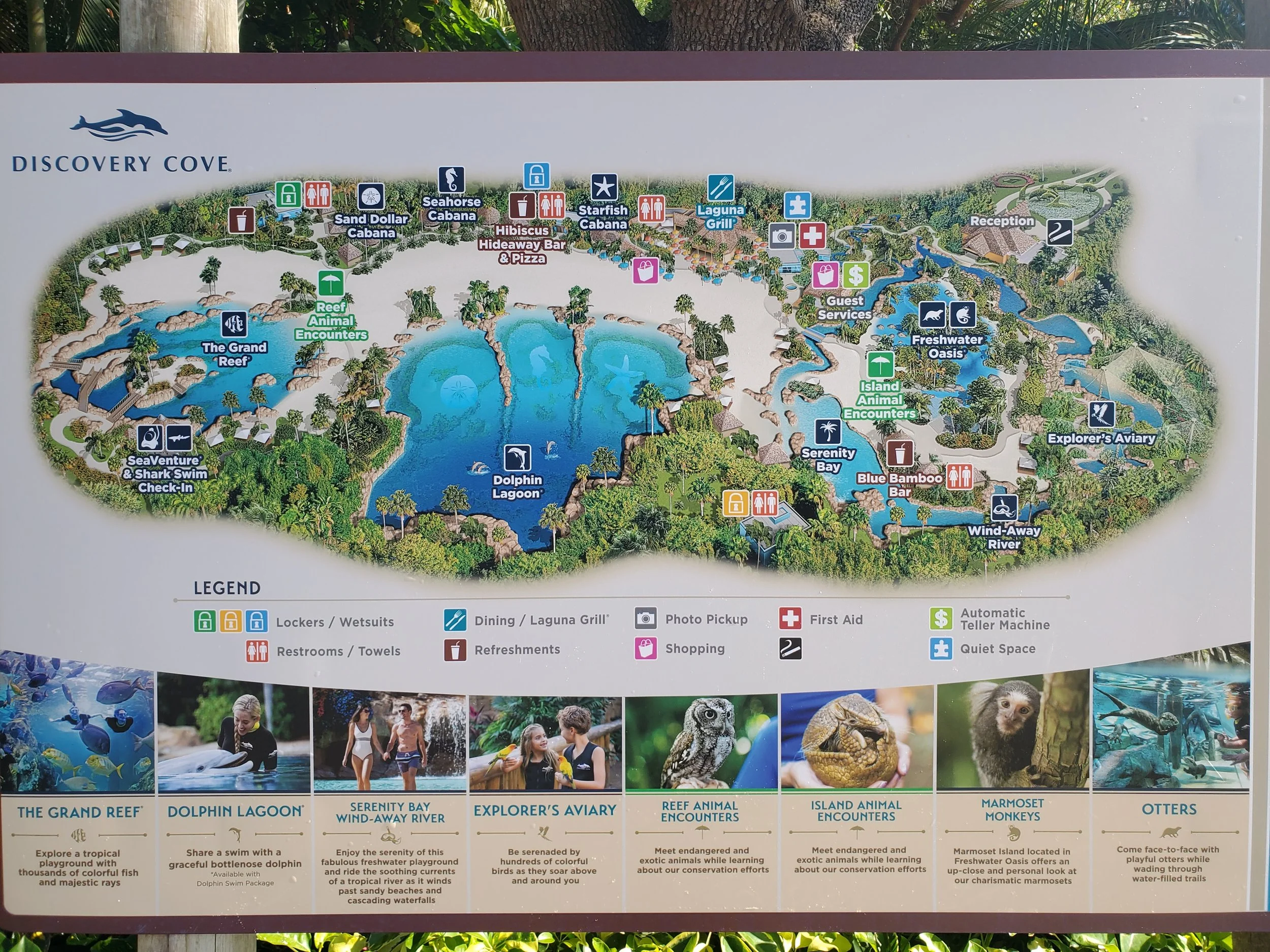 Map of Discovery Cove showing various attractions such as Dolphin Lagoon, Reef Animal Encounters, Explorer's Aviary, and The Grand Reef, with icons for lockers, restrooms, dining, shopping, first aid, and more.