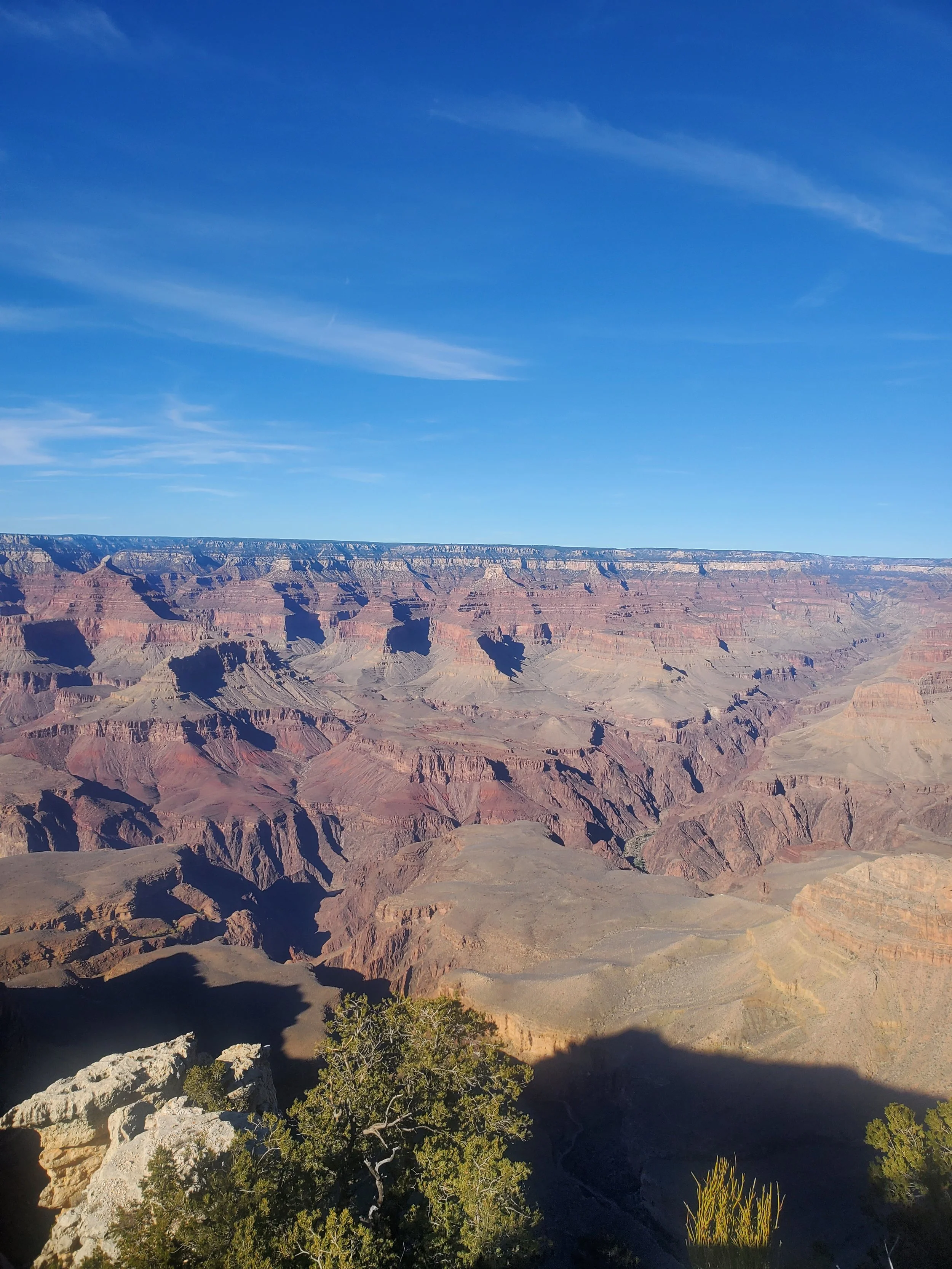 View of the Grand Canyon with a clear blue sky, layered rock formations, and some vegetation at the edge.