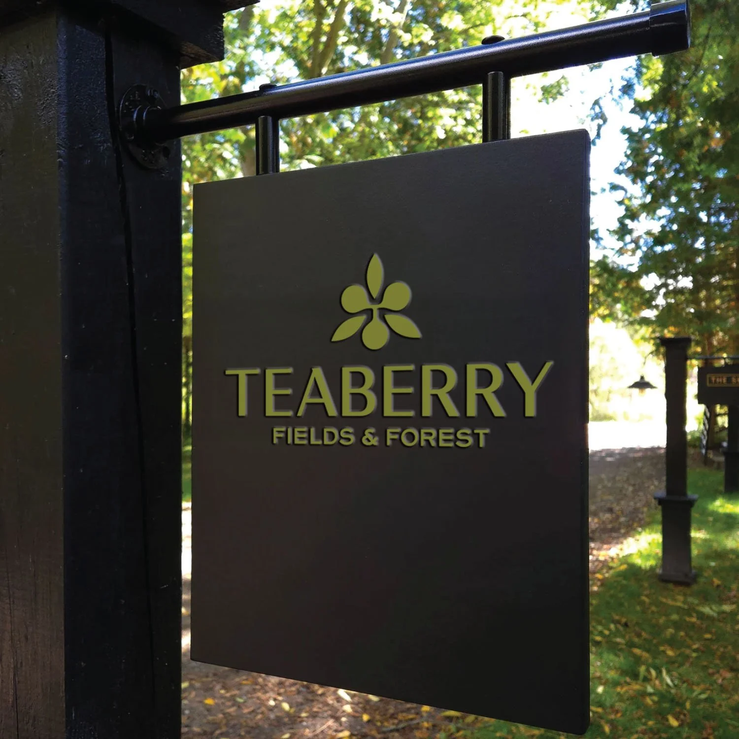 Teaberry Fields &amp; Forest