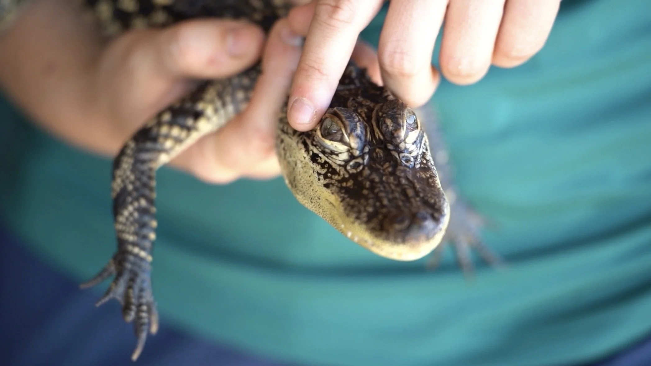 Ouachita Baptist University — Outdoor Talent Search Event Film