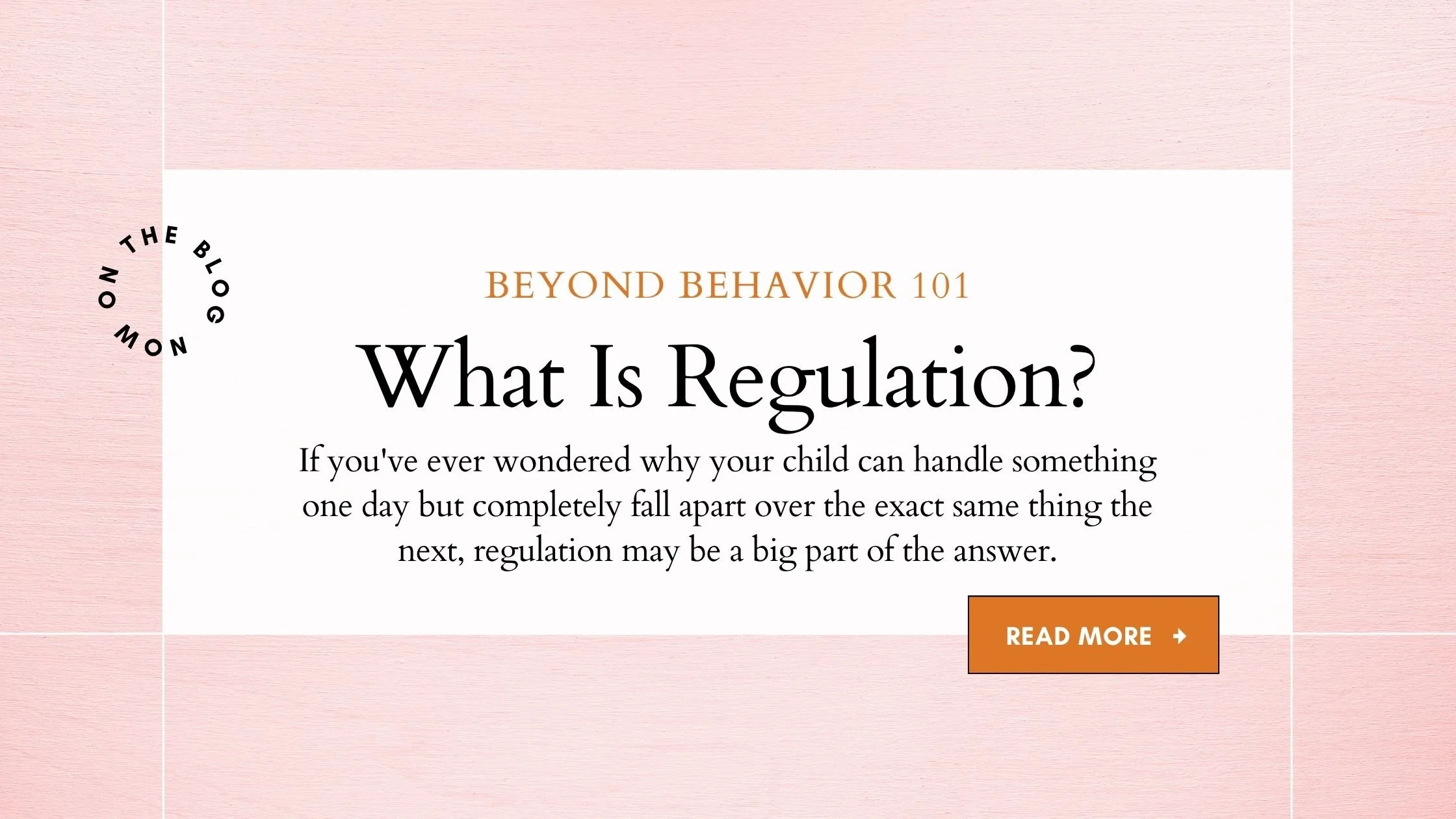 Beyond Behavior 101: What Is Regulation?
