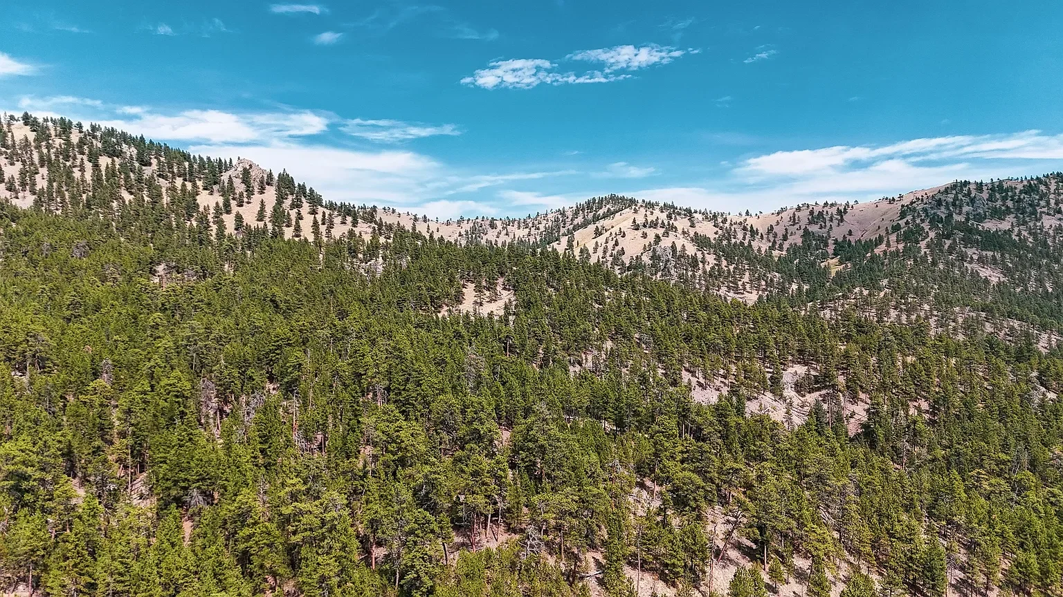 Nhn Upper Andy Creek Ln 22.webp