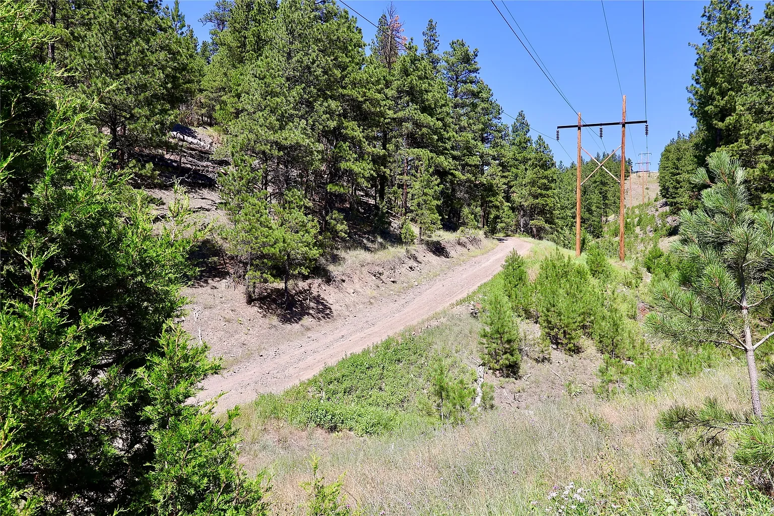 Clean slate property in montana for sale.webp