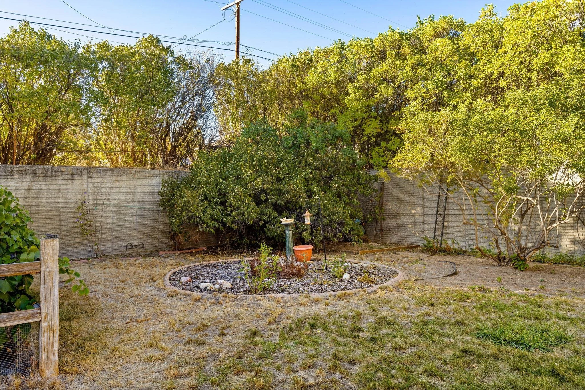 Backyard landscape.jpg