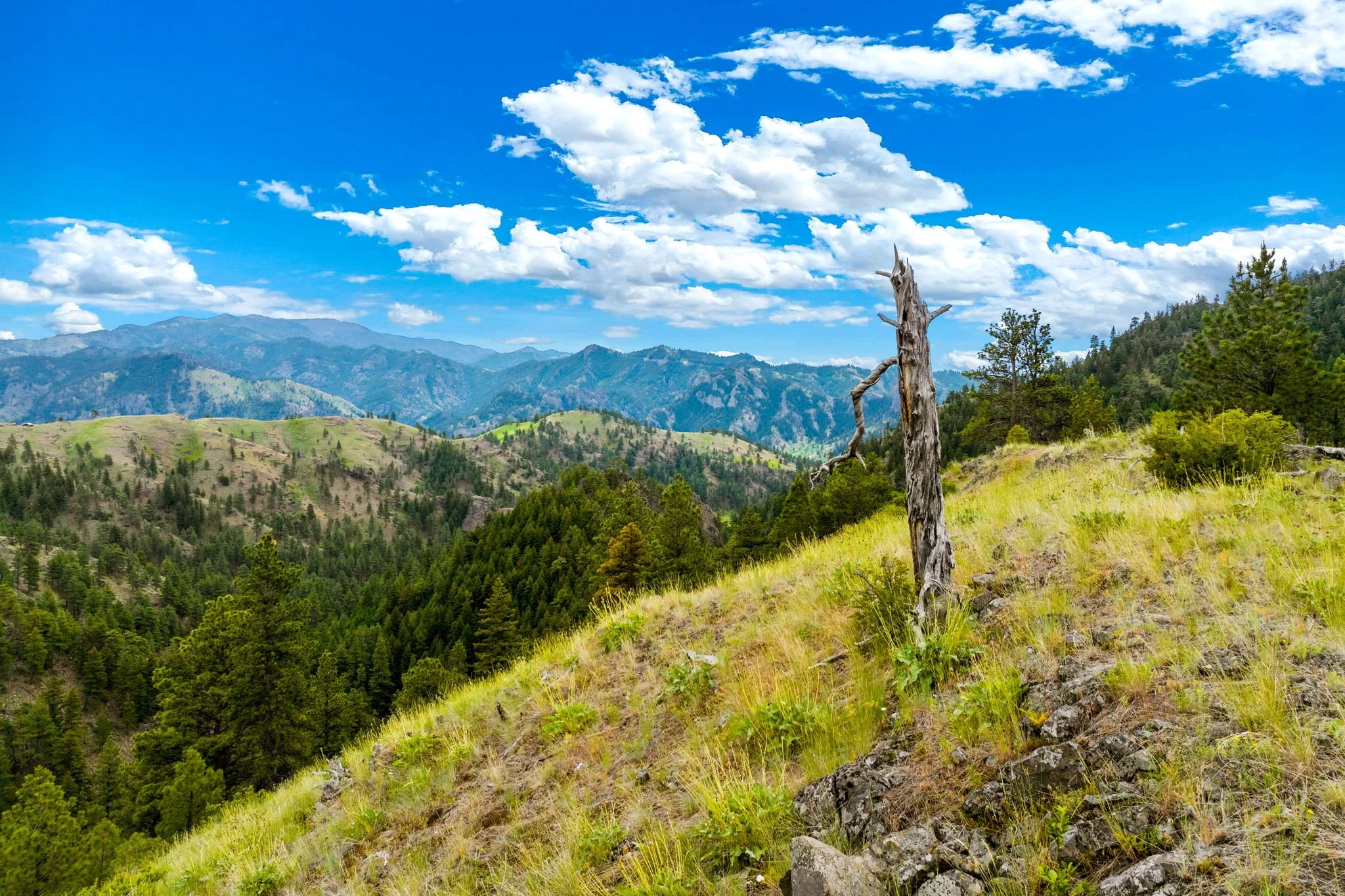 25-web-or-mls-REP-Space-84-Sugarloaf-Mountain-Lane-Cascade-MT (25).jpg