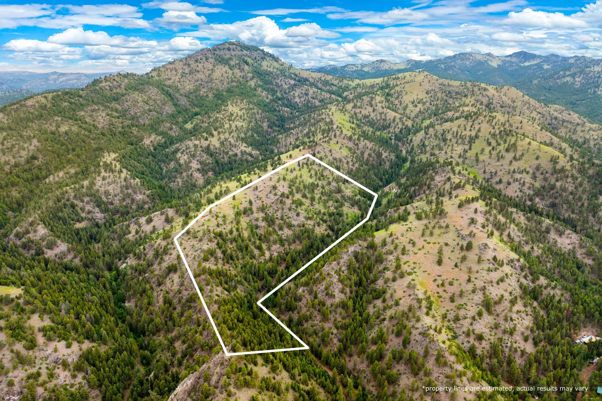 22-web-or-mls-REP-Space-84-Sugarloaf-Mountain-Lane-Cascade-MT (22).jpg