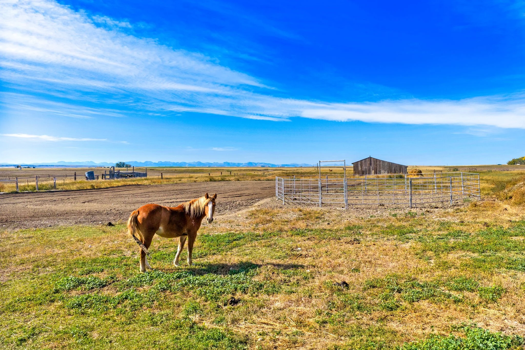 41-web-or-mls-REP-Space-7793-Old-Shelby-Road-Conrad-MT (41).jpg