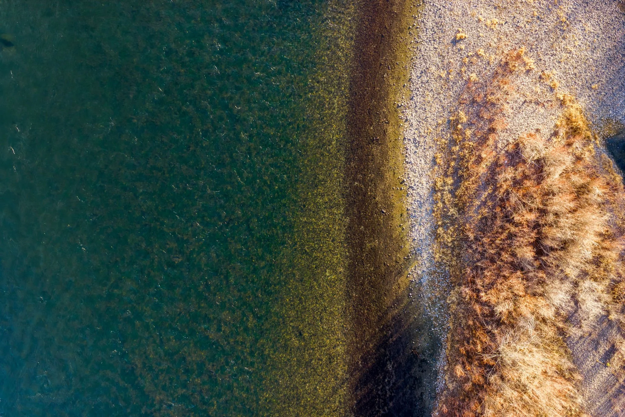 14-web-or-mls-REP-Space-24-Golden-Eagle-Drive-Cascade-MT (14).jpg