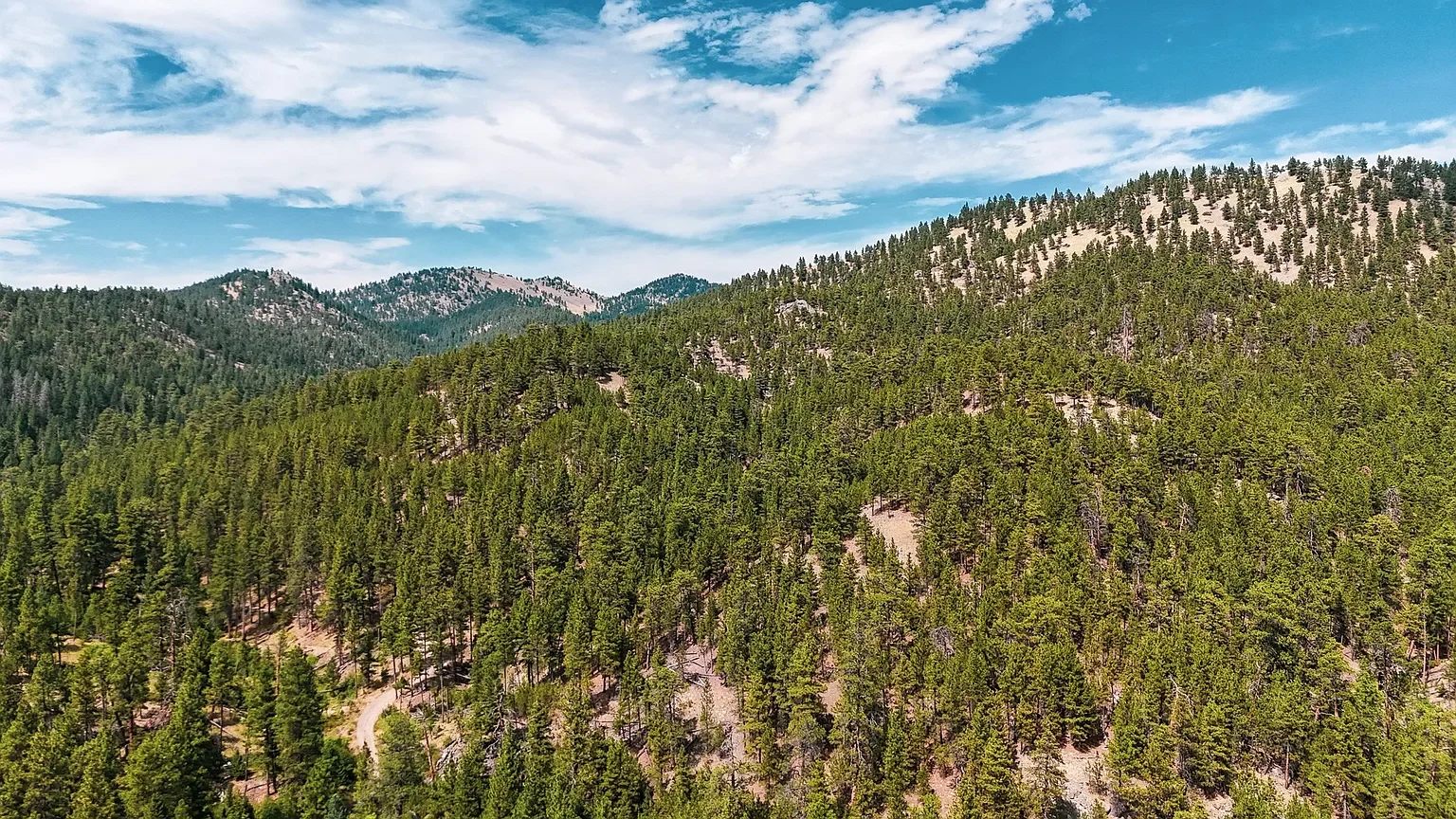 Nhn Upper Andy Creek Ln 23.webp