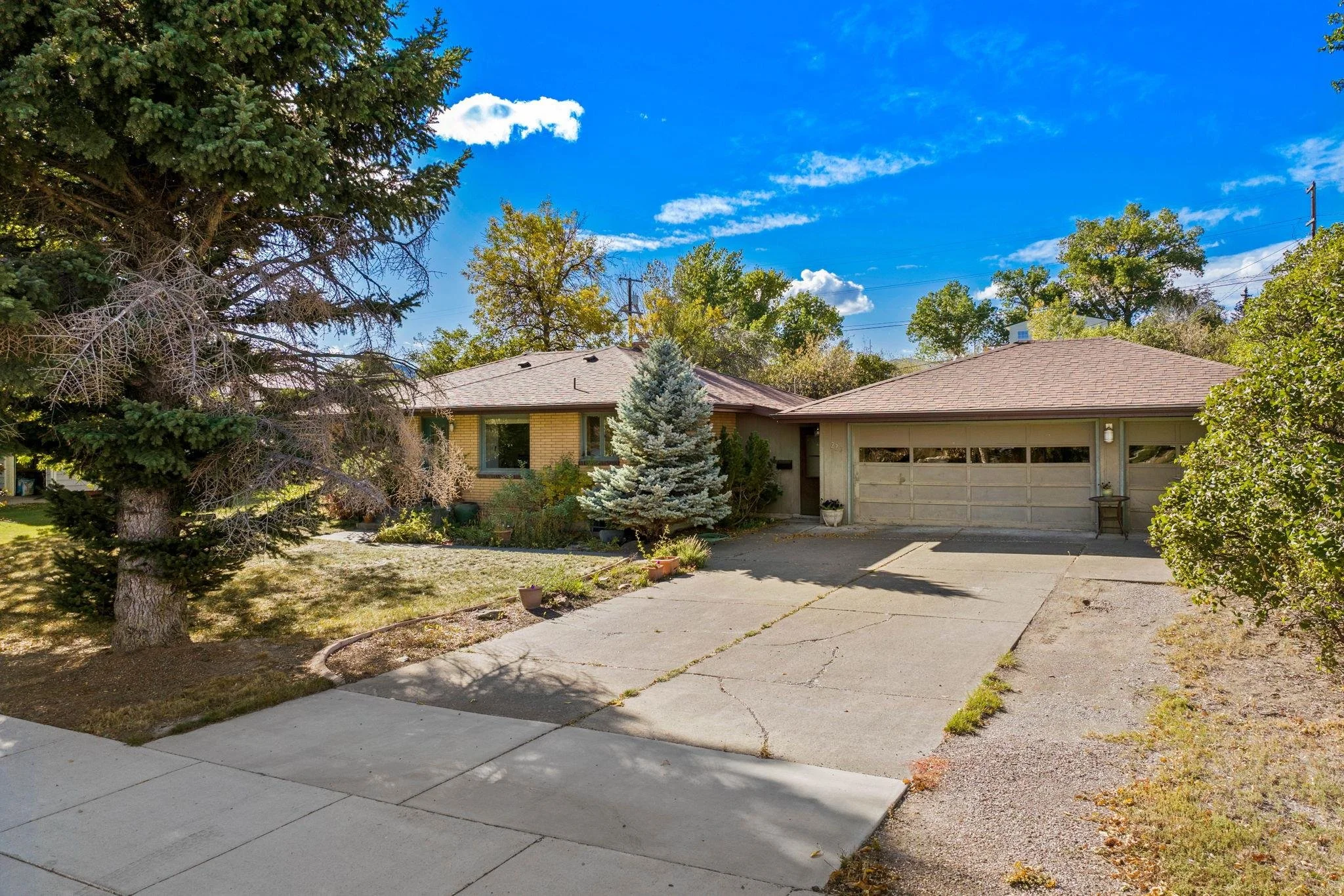 House and Garage.jpg