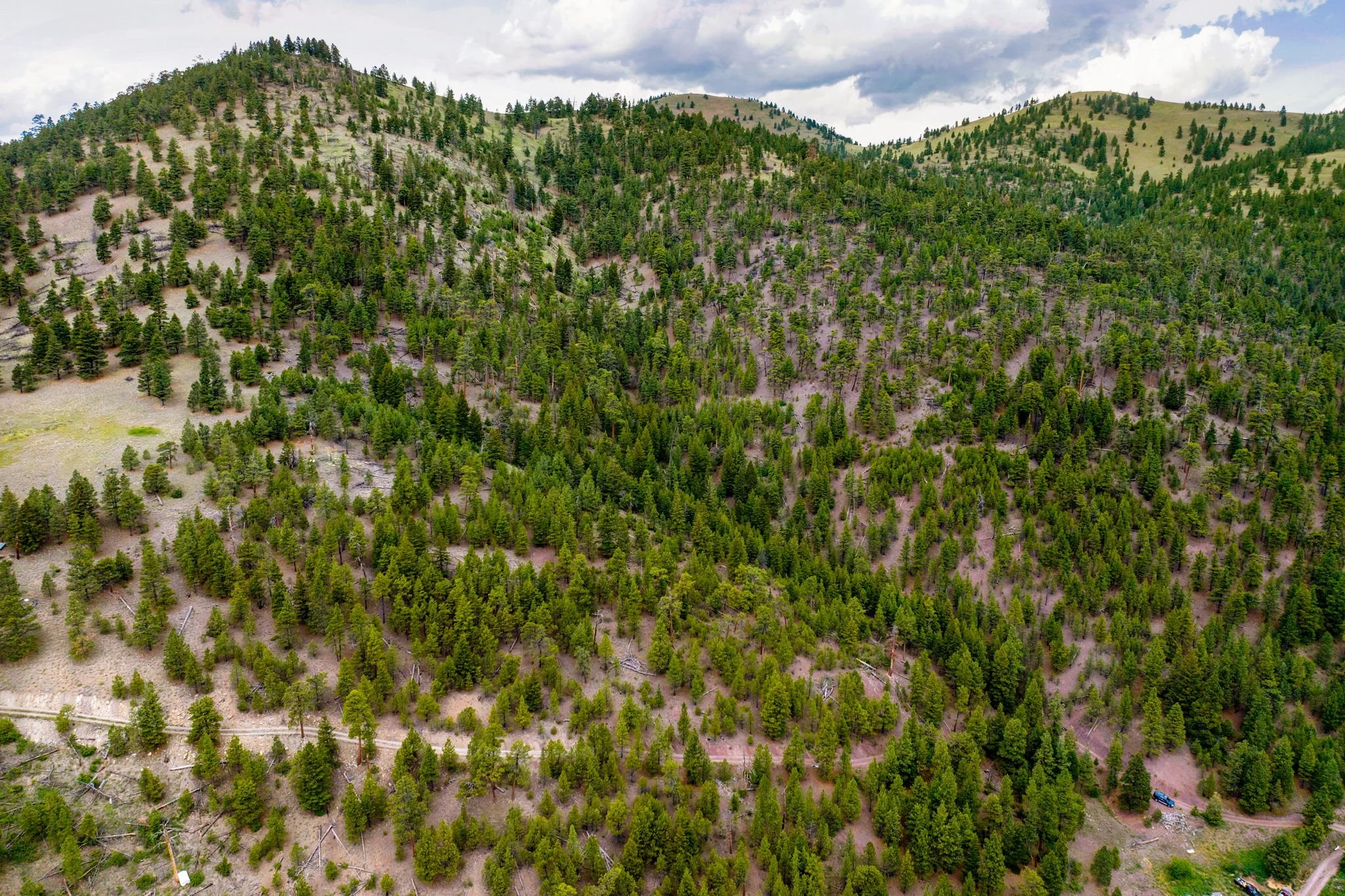 10-web-or-mls-REP-Space-2270-Lynx-Trail-Drive-Wolf-Creek-MT (10).jpg