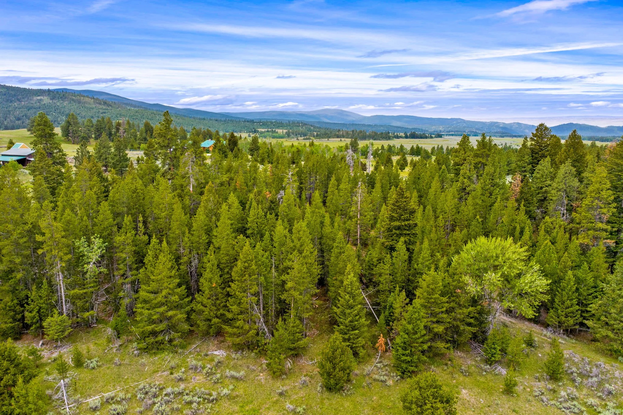 30-web-or-mls-REP-Space-3358-Strandskov-Road-Lincoln-MT (30).jpg