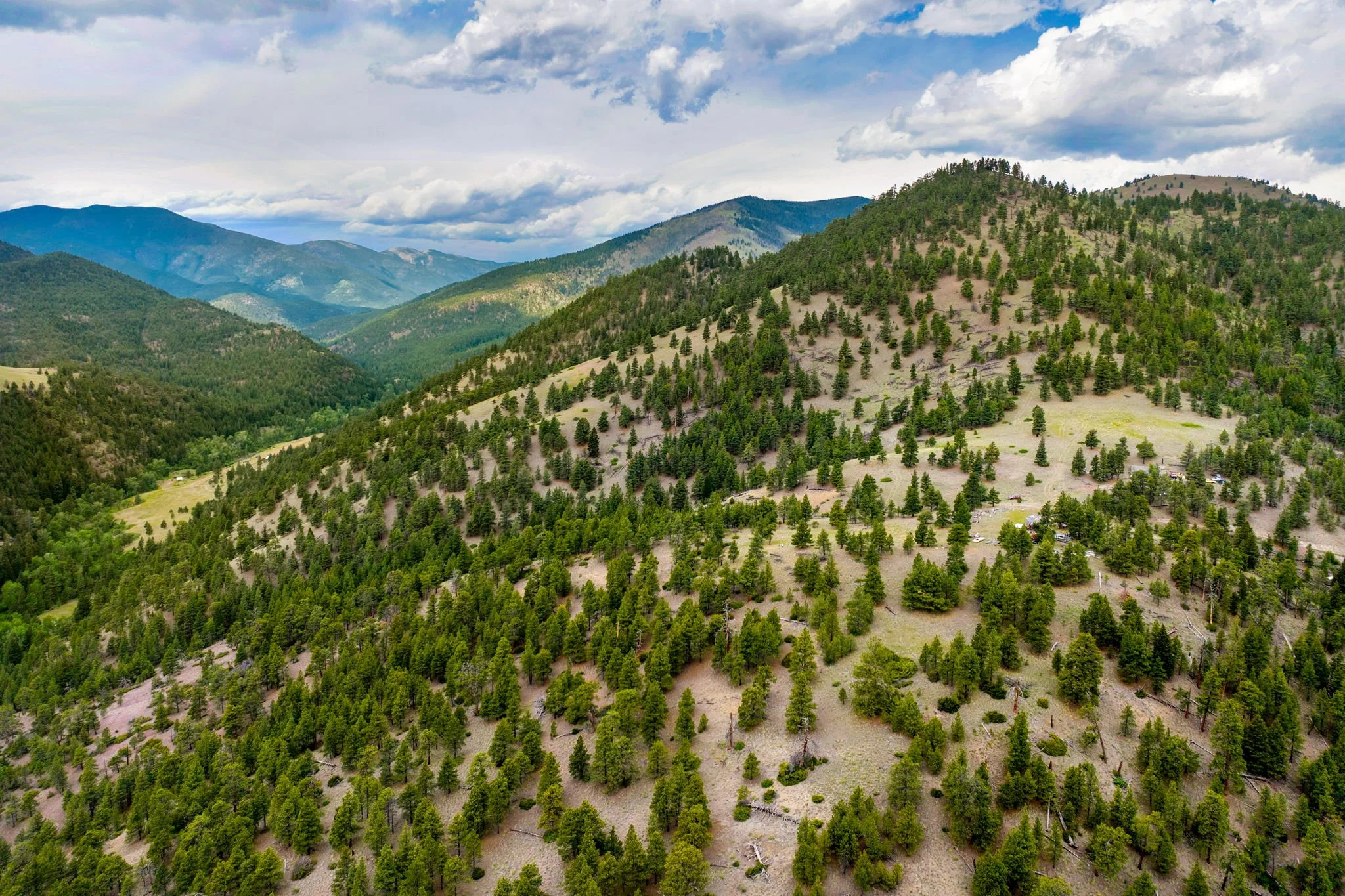 11-web-or-mls-REP-Space-2270-Lynx-Trail-Drive-Wolf-Creek-MT (11).jpg