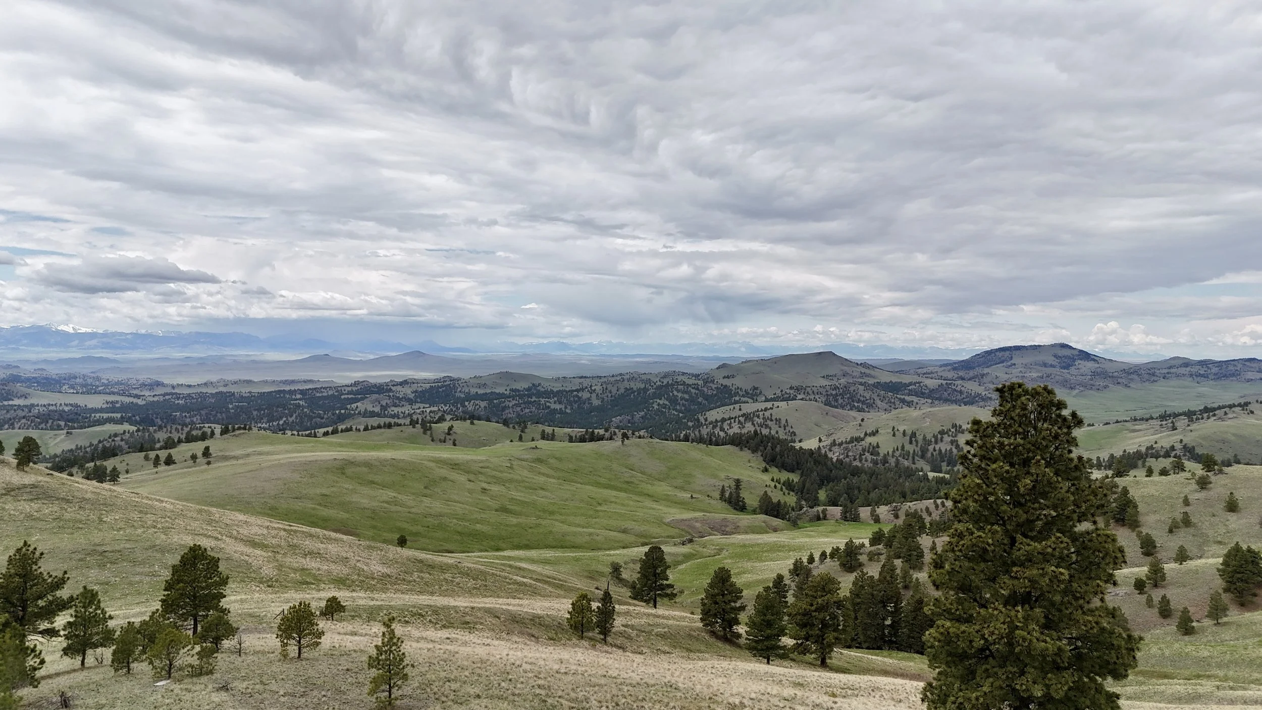 206 Upper Sawmill Loop