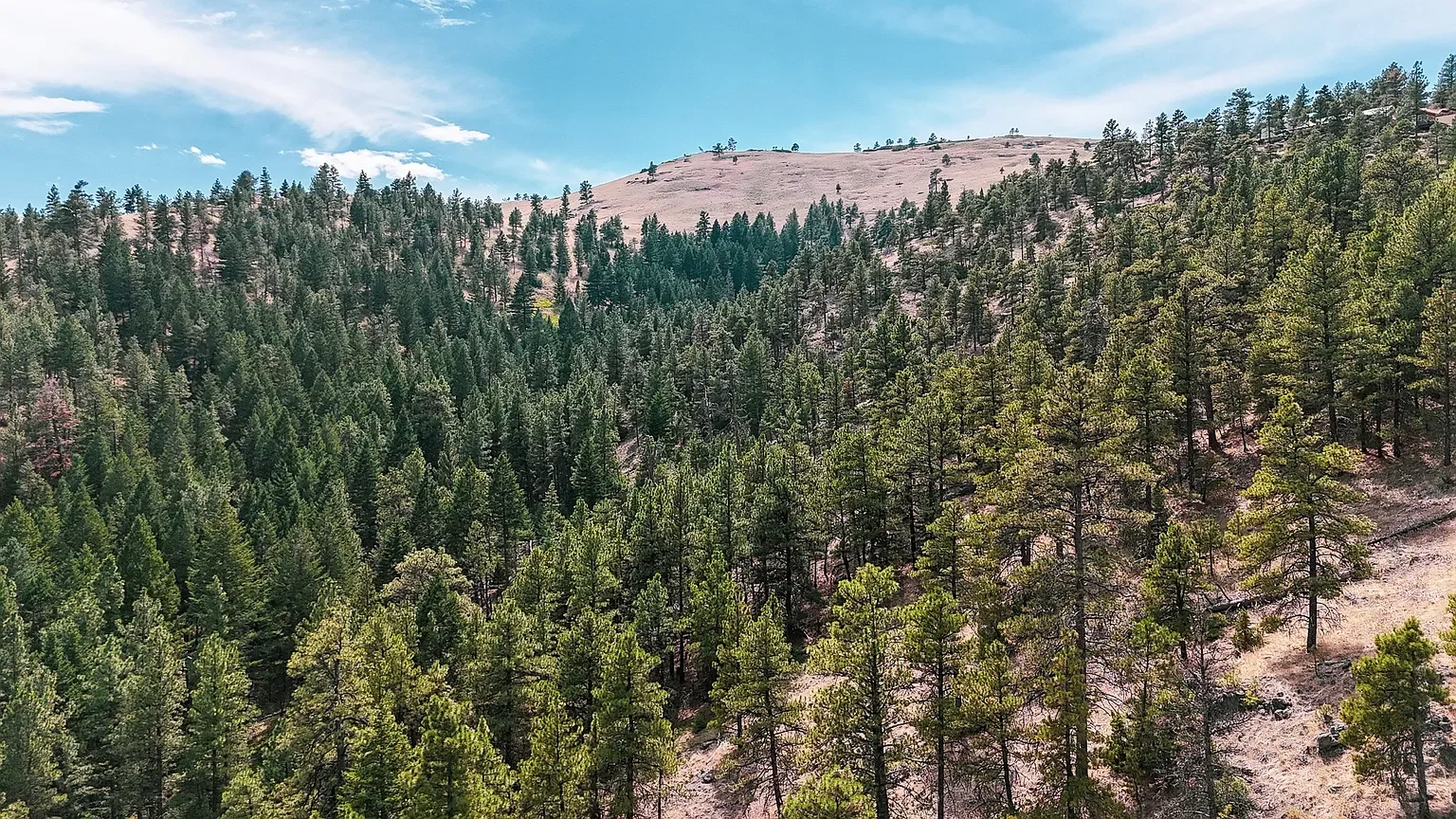 Nhn Upper Andy Creek Ln 20.webp