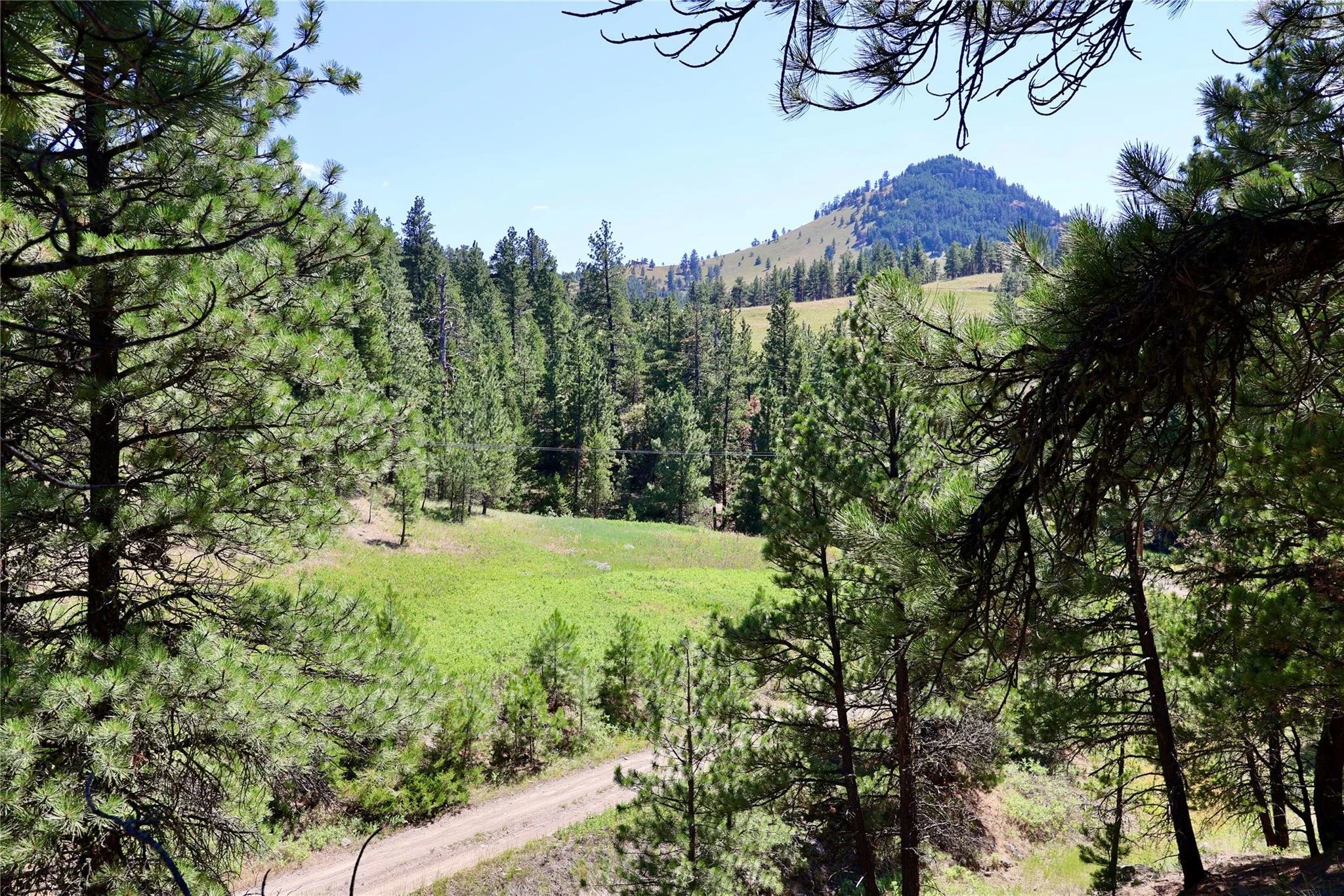 Mountain property 4.jpg