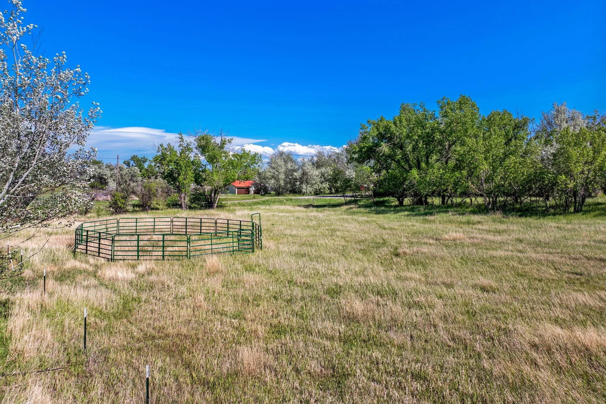 Horse pen.jpg
