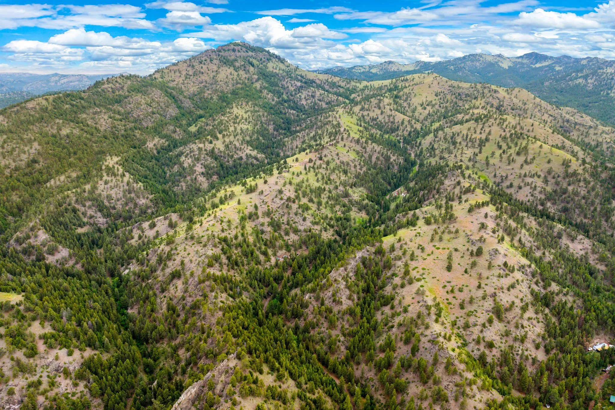 21-web-or-mls-REP-Space-84-Sugarloaf-Mountain-Lane-Cascade-MT (21).jpg