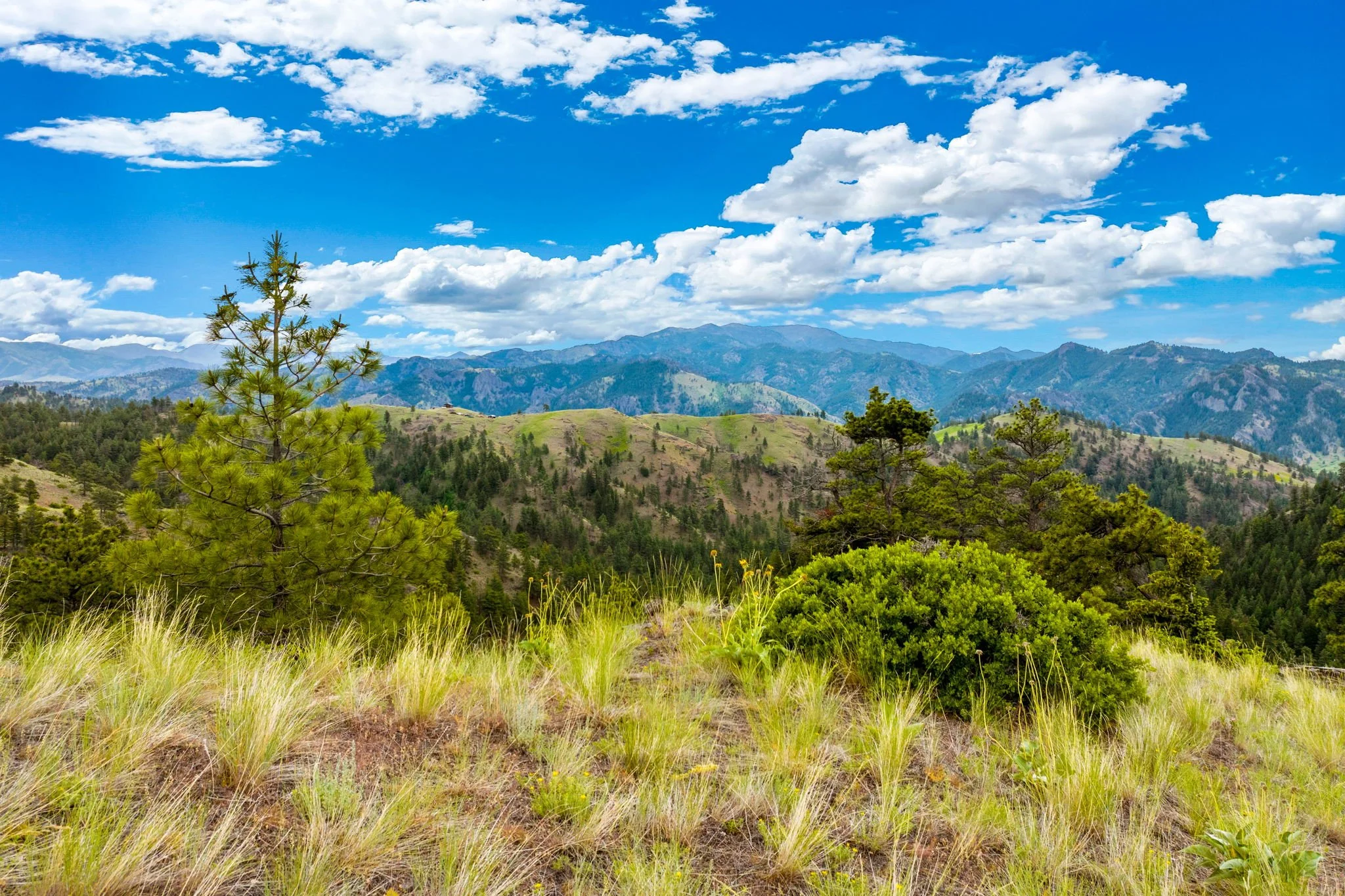 off grid living experience Montana.jpg