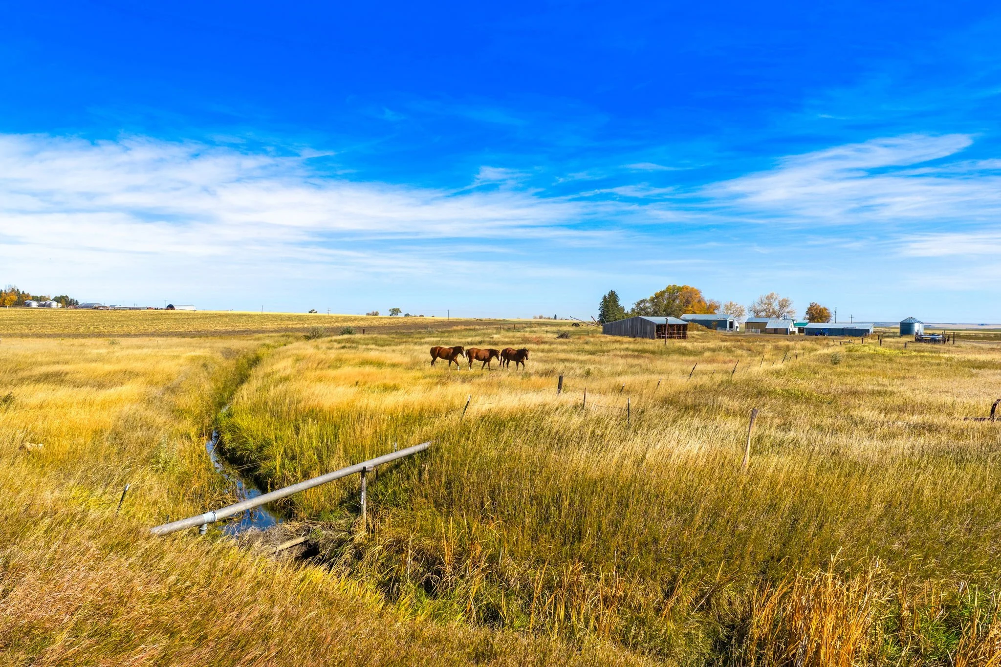 63-web-or-mls-REP-Space-7793-Old-Shelby-Road-Conrad-MT (63).jpg