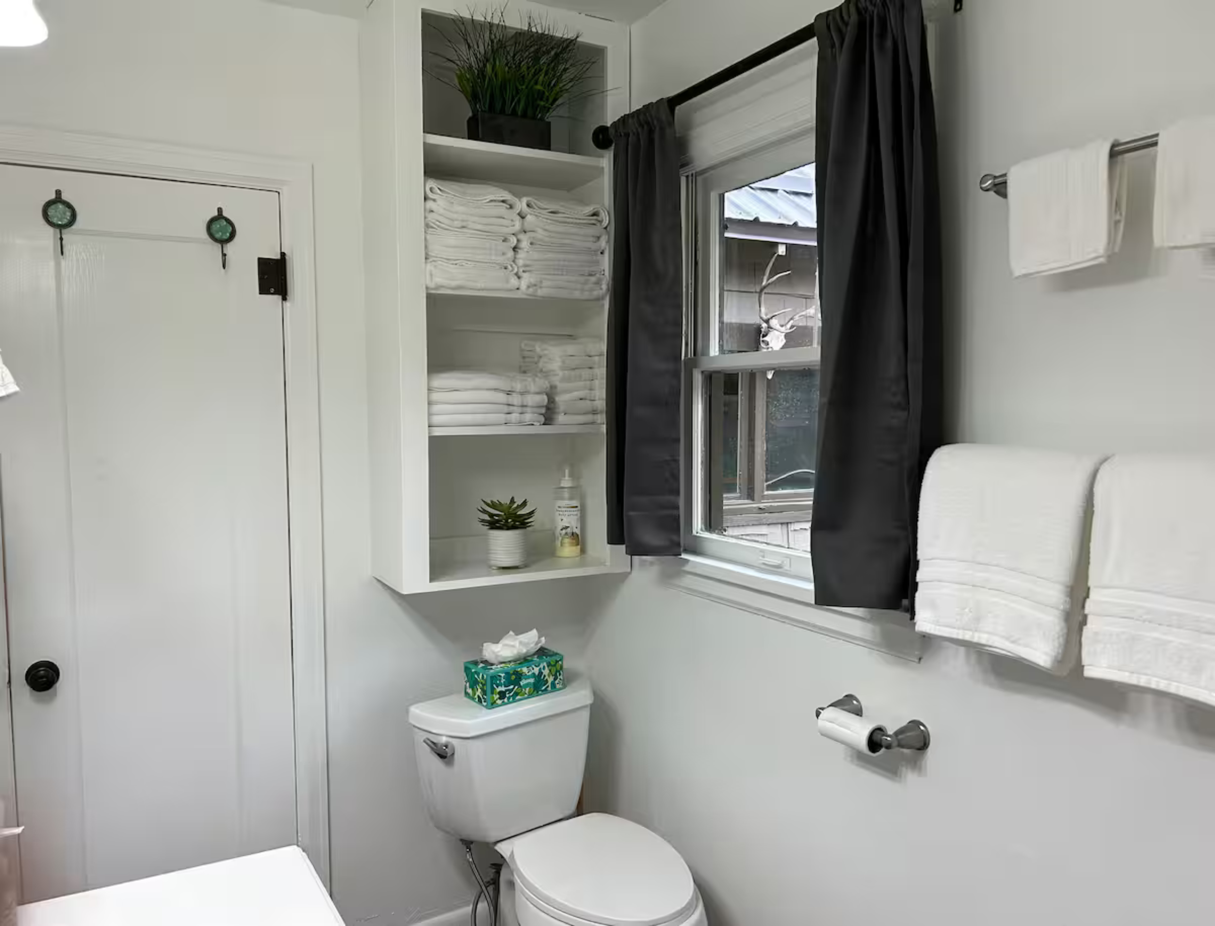 Untitled design(6).png