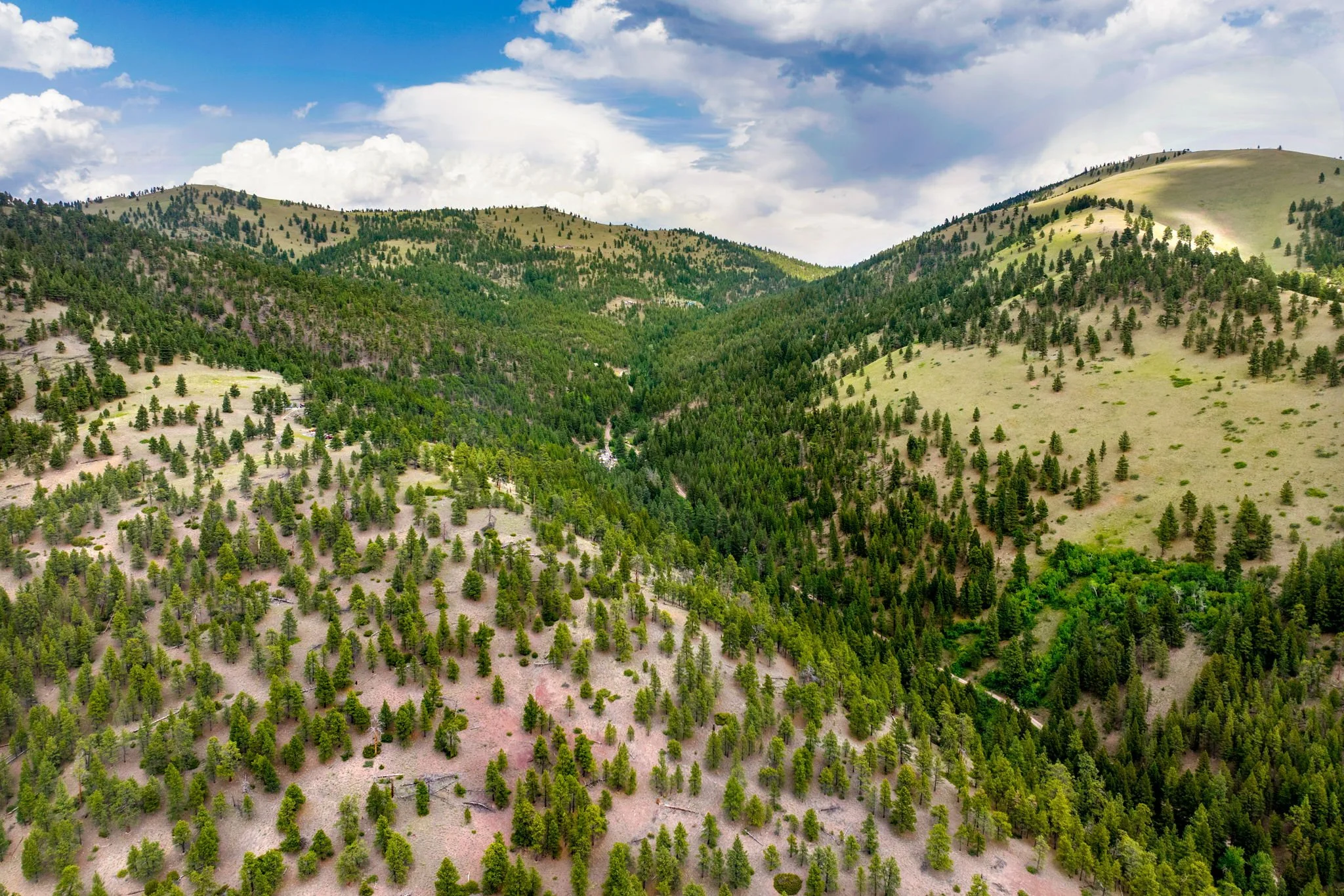 8-web-or-mls-REP-Space-2270-Lynx-Trail-Drive-Wolf-Creek-MT (8).jpg