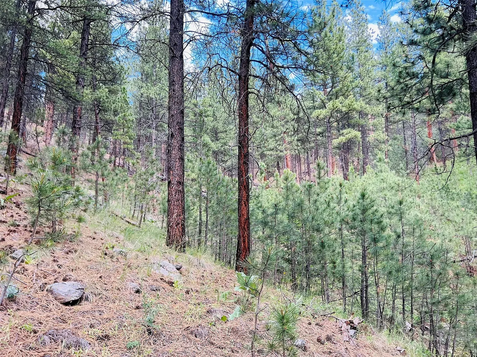 Nhn Upper Andy Creek Ln 7.webp