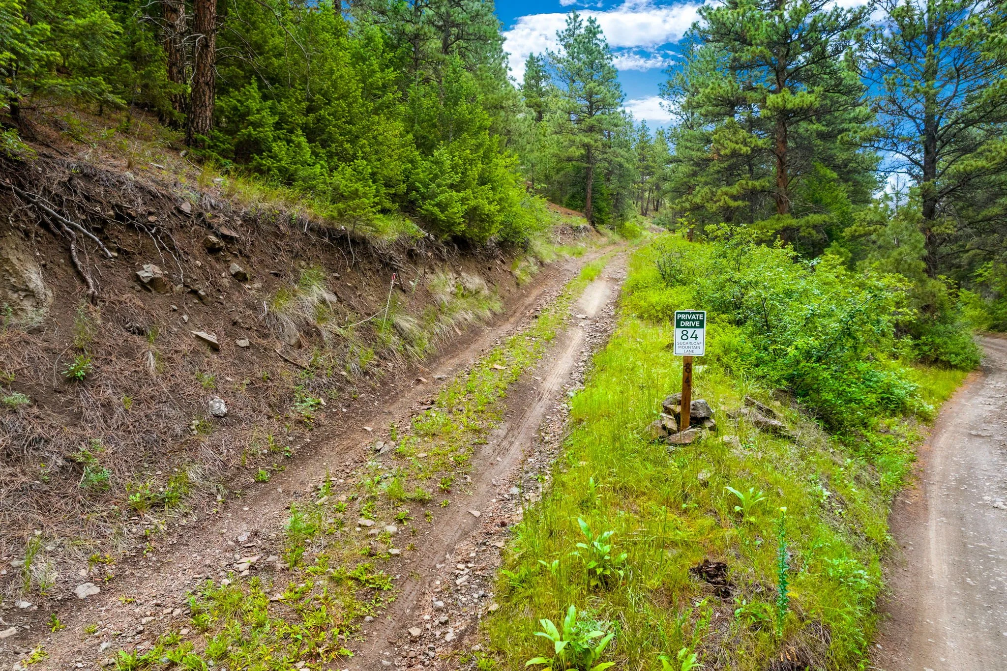 15-web-or-mls-REP-Space-84-Sugarloaf-Mountain-Lane-Cascade-MT (15).jpg