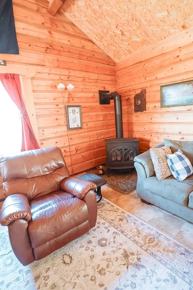 living room fire stove.webp