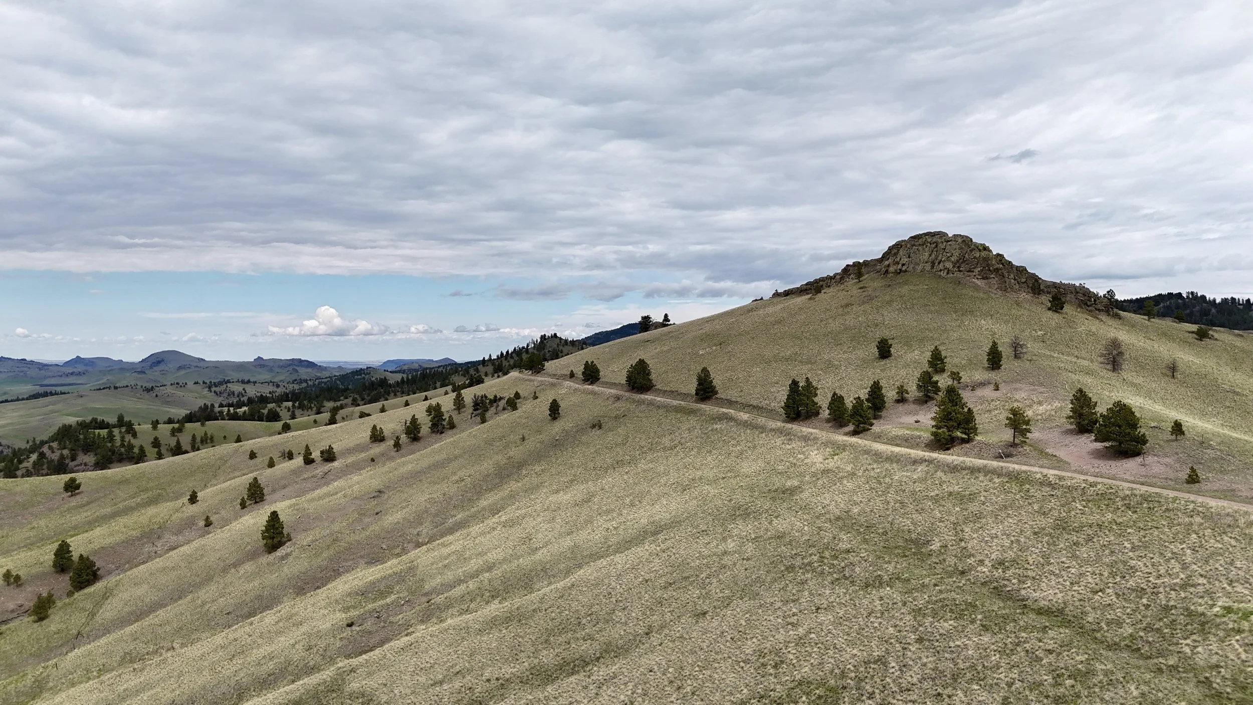 DJI_20260507134612_0077_D.JPG