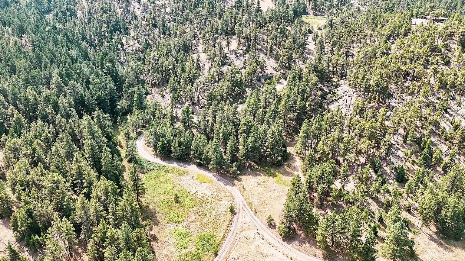 Nhn Upper Andy Creek Ln 3.webp