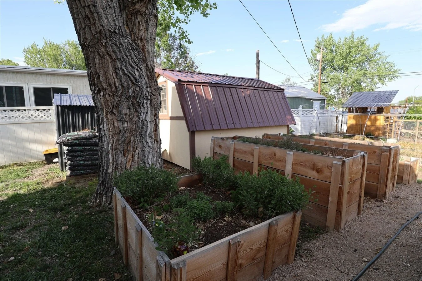 backyard garden.jpg