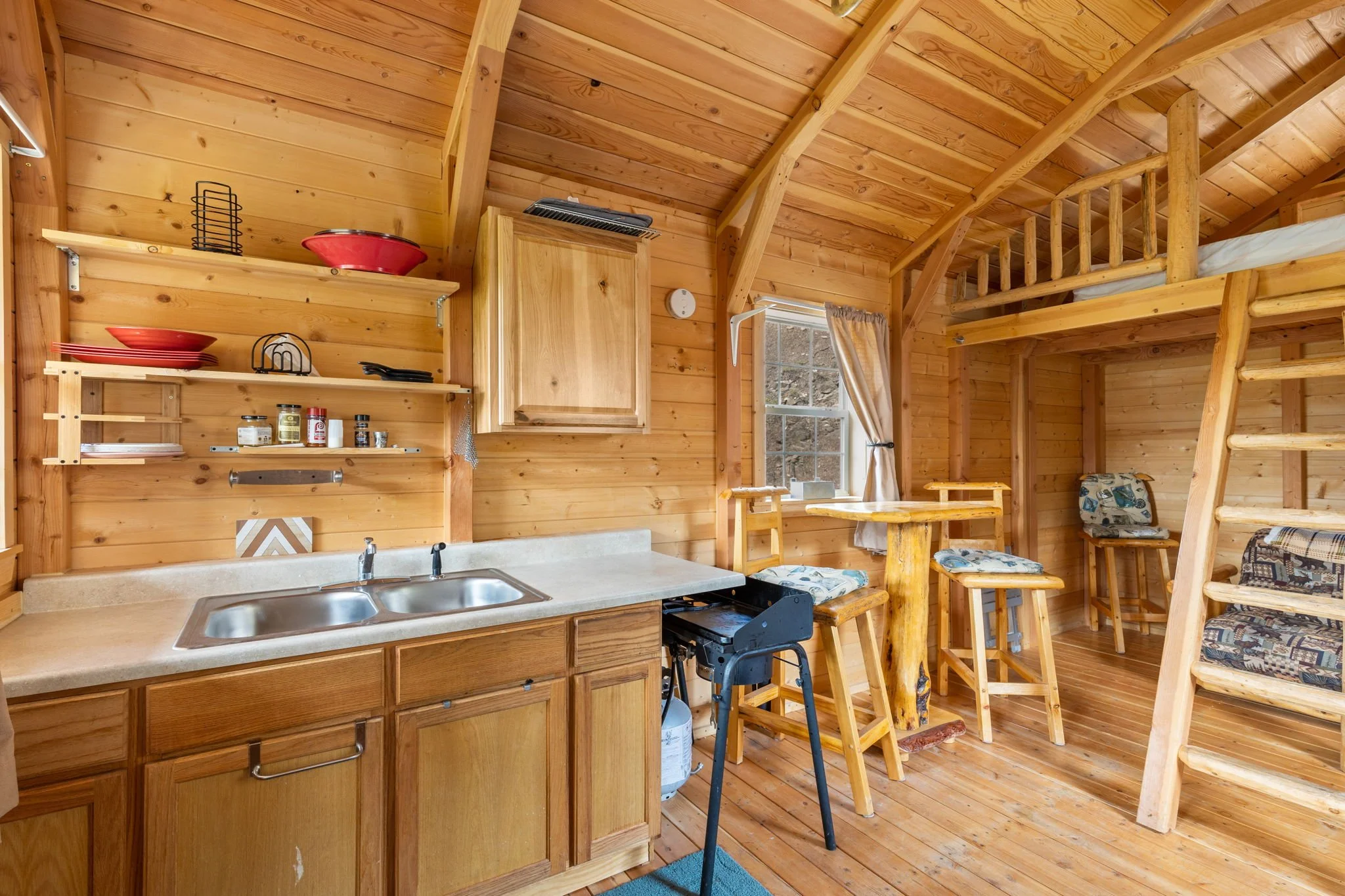 Montana cabin near Flathead Lake.jpg